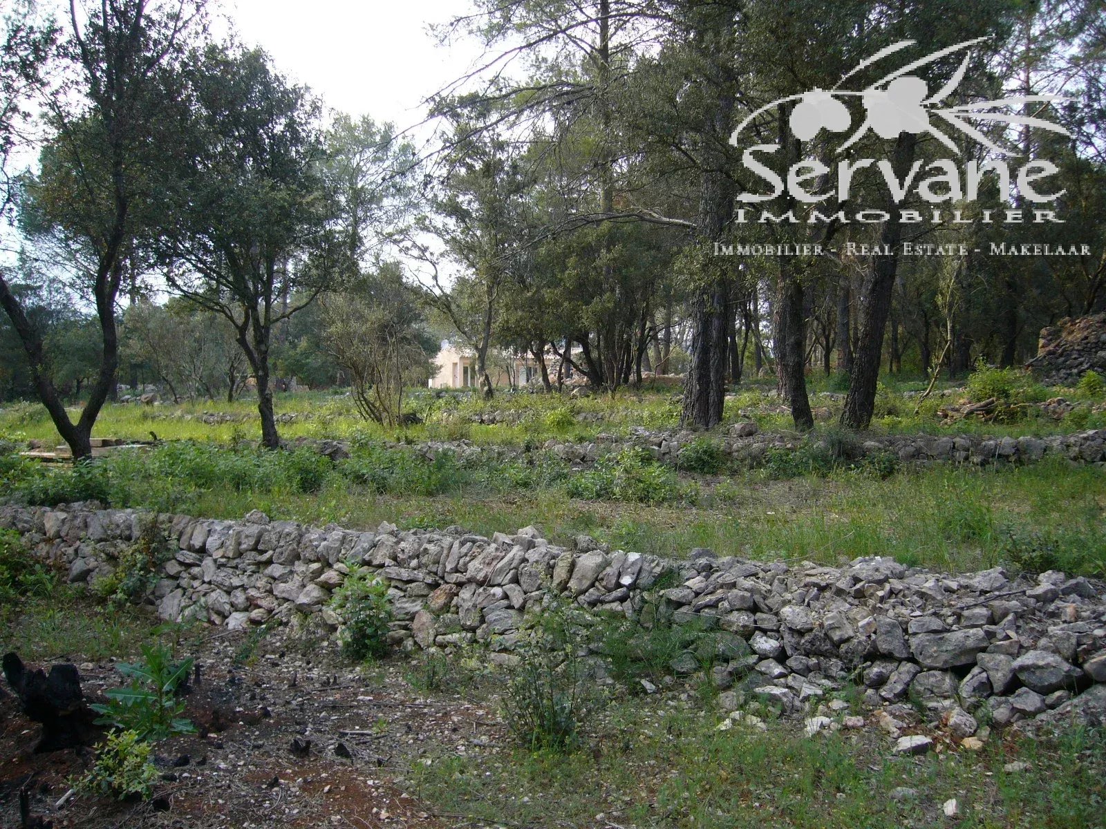 CHARMING HOUSE MONTFORT SUR ARGENS T3