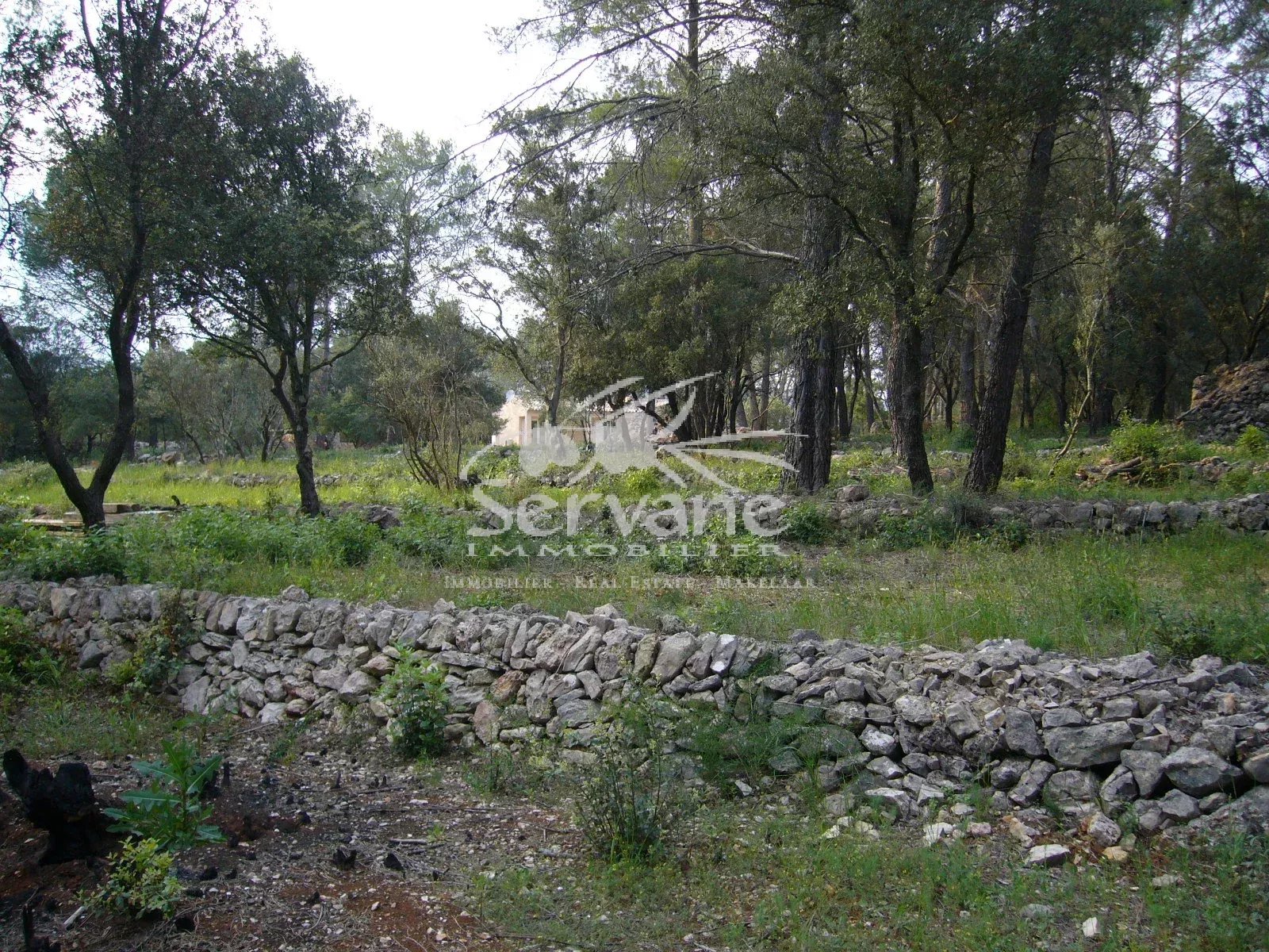 CHARMING HOUSE MONTFORT SUR ARGENS T3