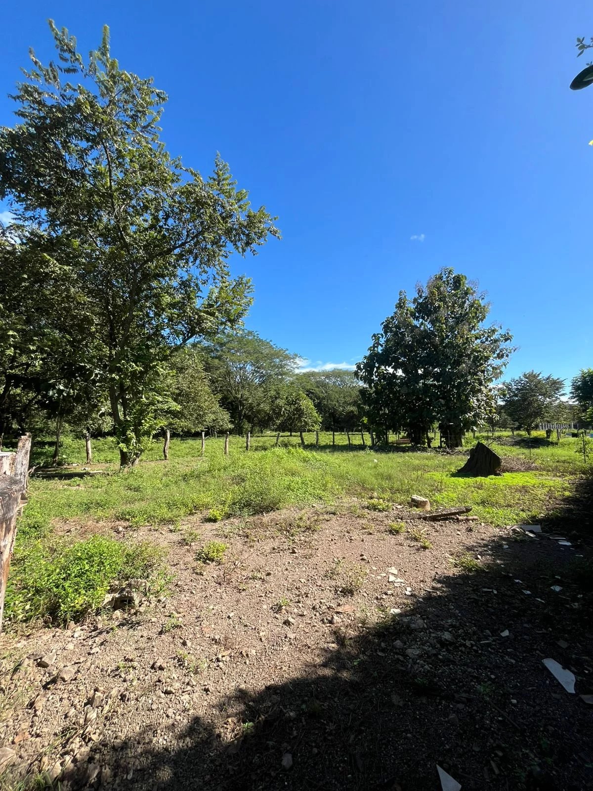 Sale Plot of land Santa Cruz