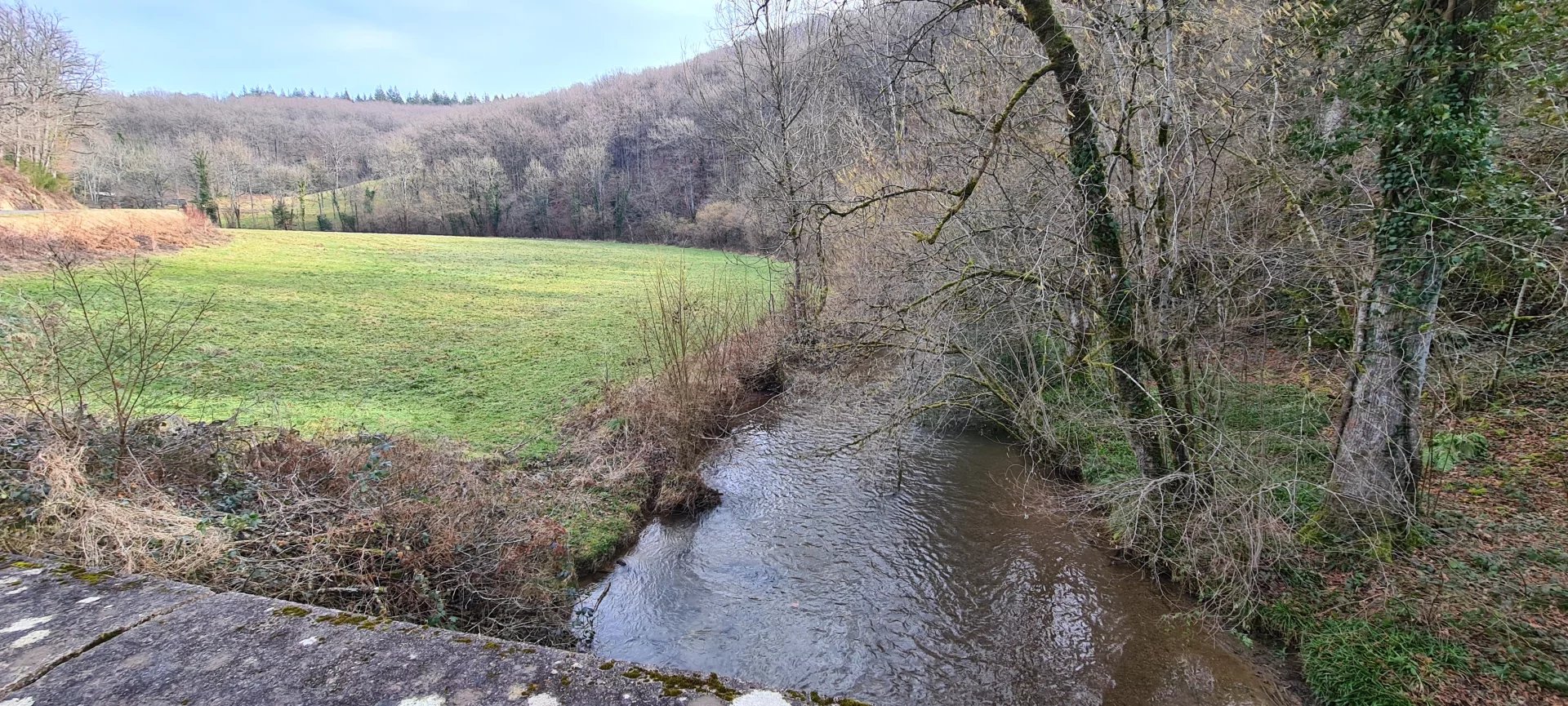 Vente Terrain Paulinet