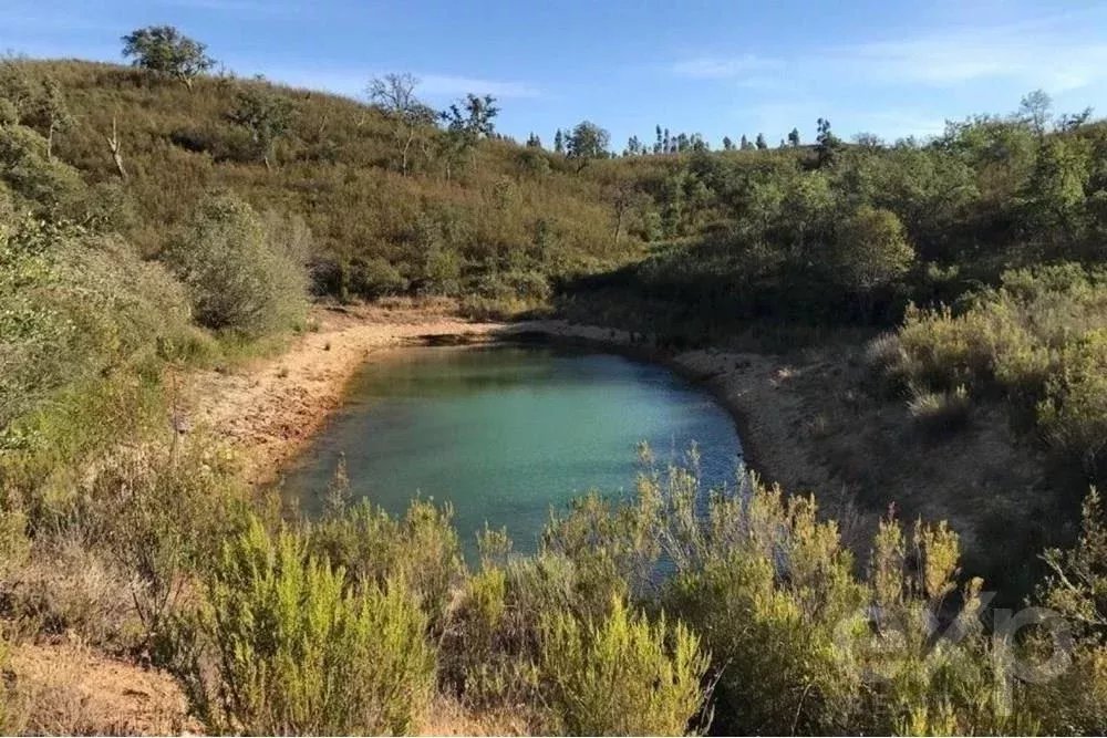 Exceptional 65-Hectare Estate in Alentejo with Tourism Development Potential 85506160 image 8