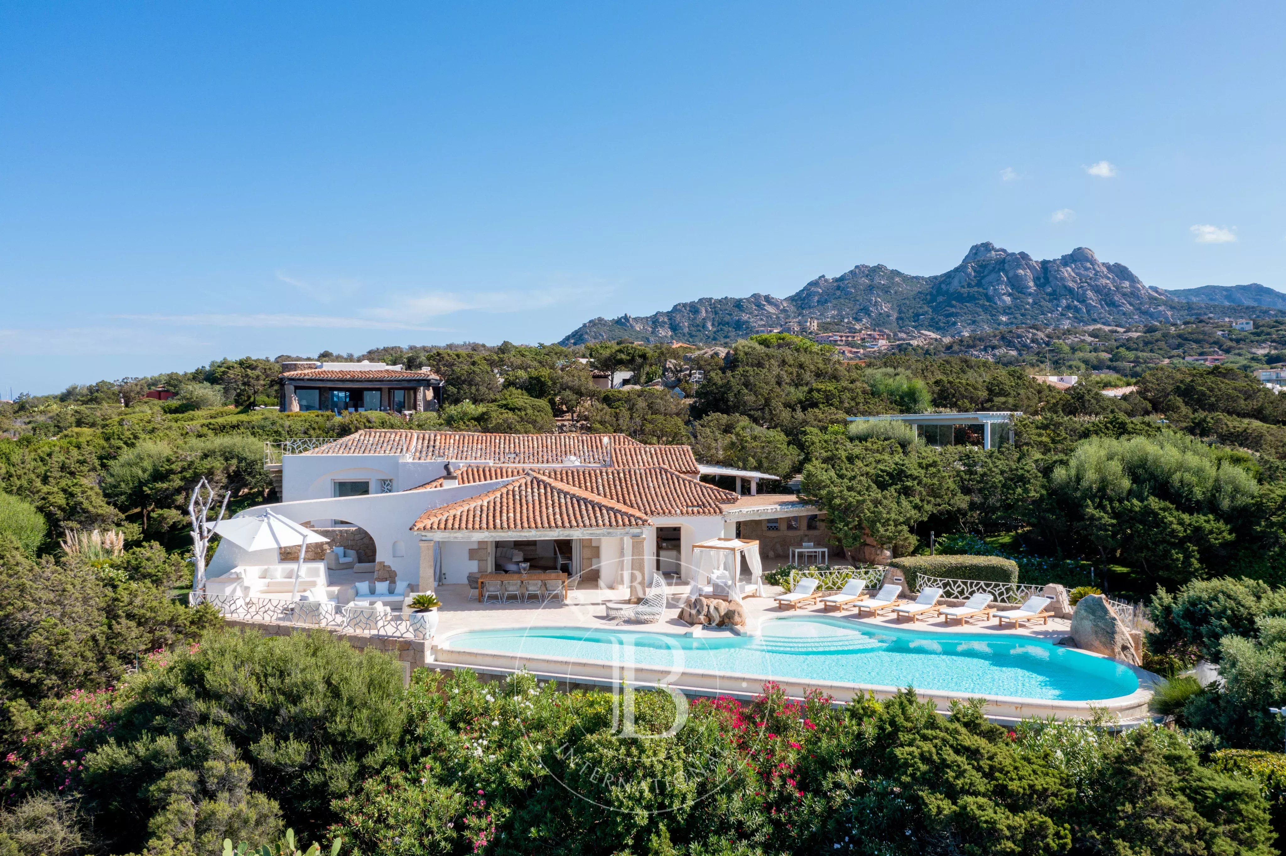 Villa Arzachena  -  ref 6675869 (picture 1)