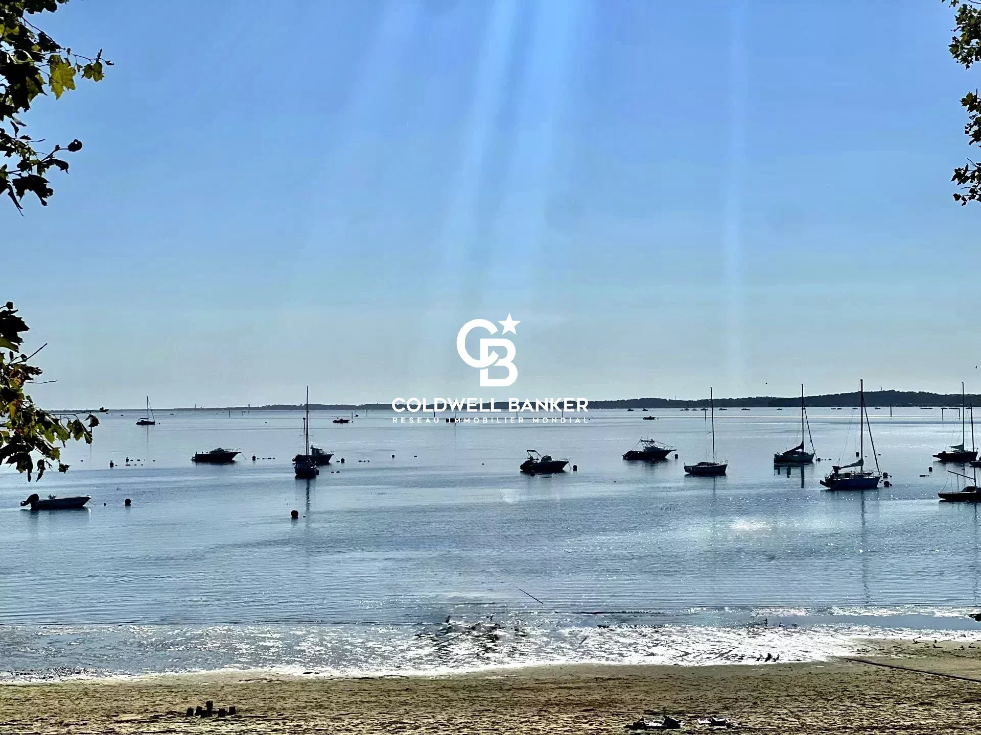 Agence immobilière de Silver Coast Int. Realty