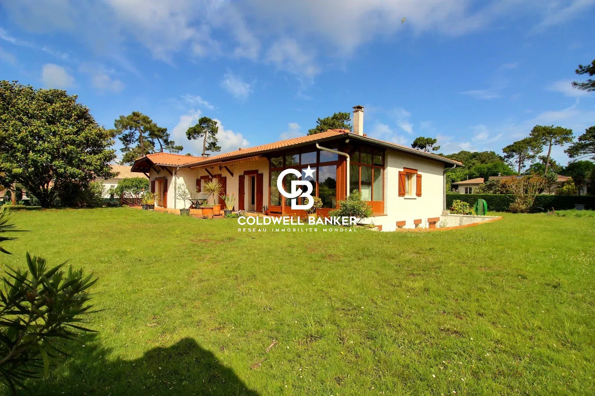 Agence immobilière de Silver Coast Int. Realty