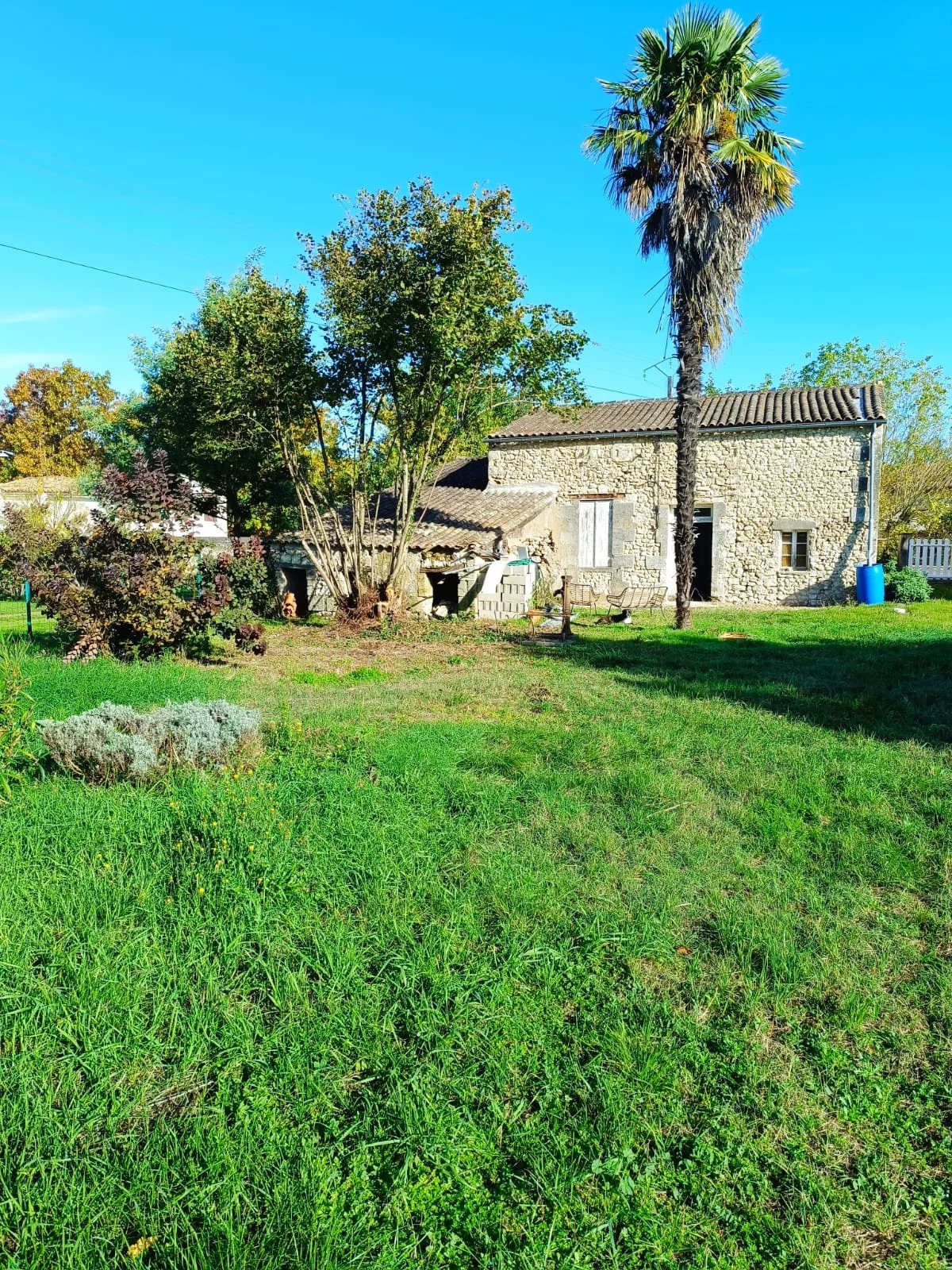 Maison au coeur de St Seurin de Cursac