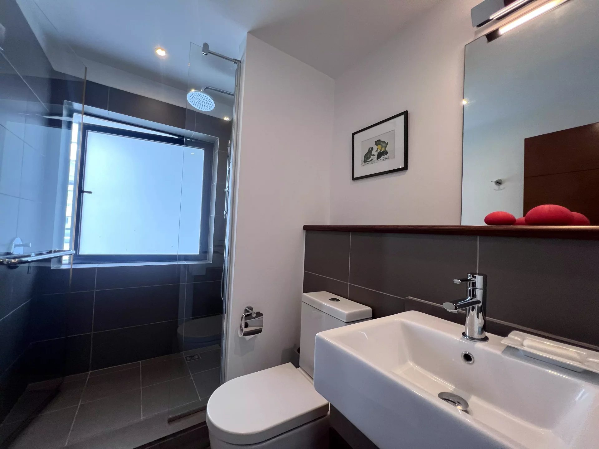 Ev Haute Rive - picture 23