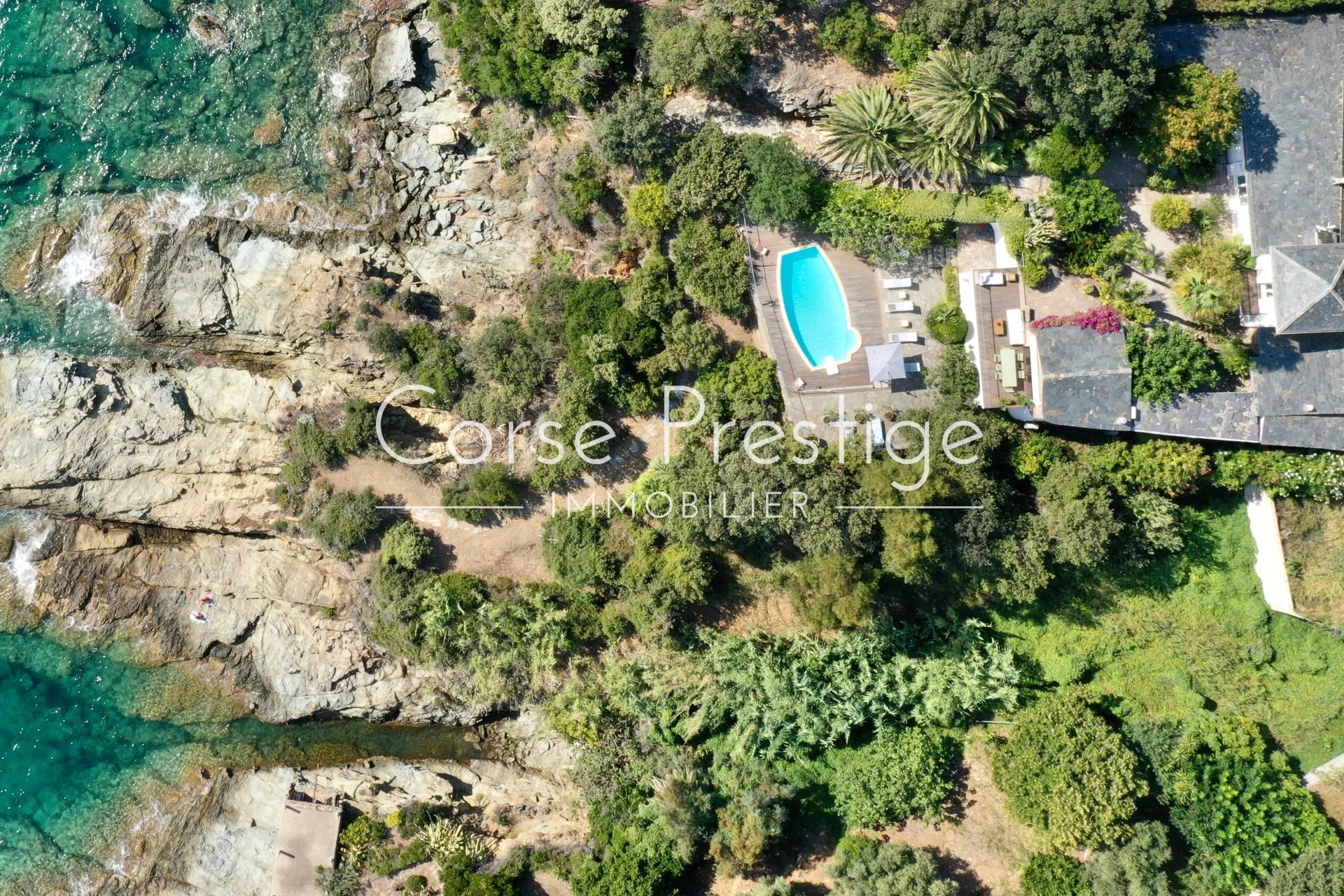 villa pieds dans l-eau - erbalunga - cap corse - haute corse image6