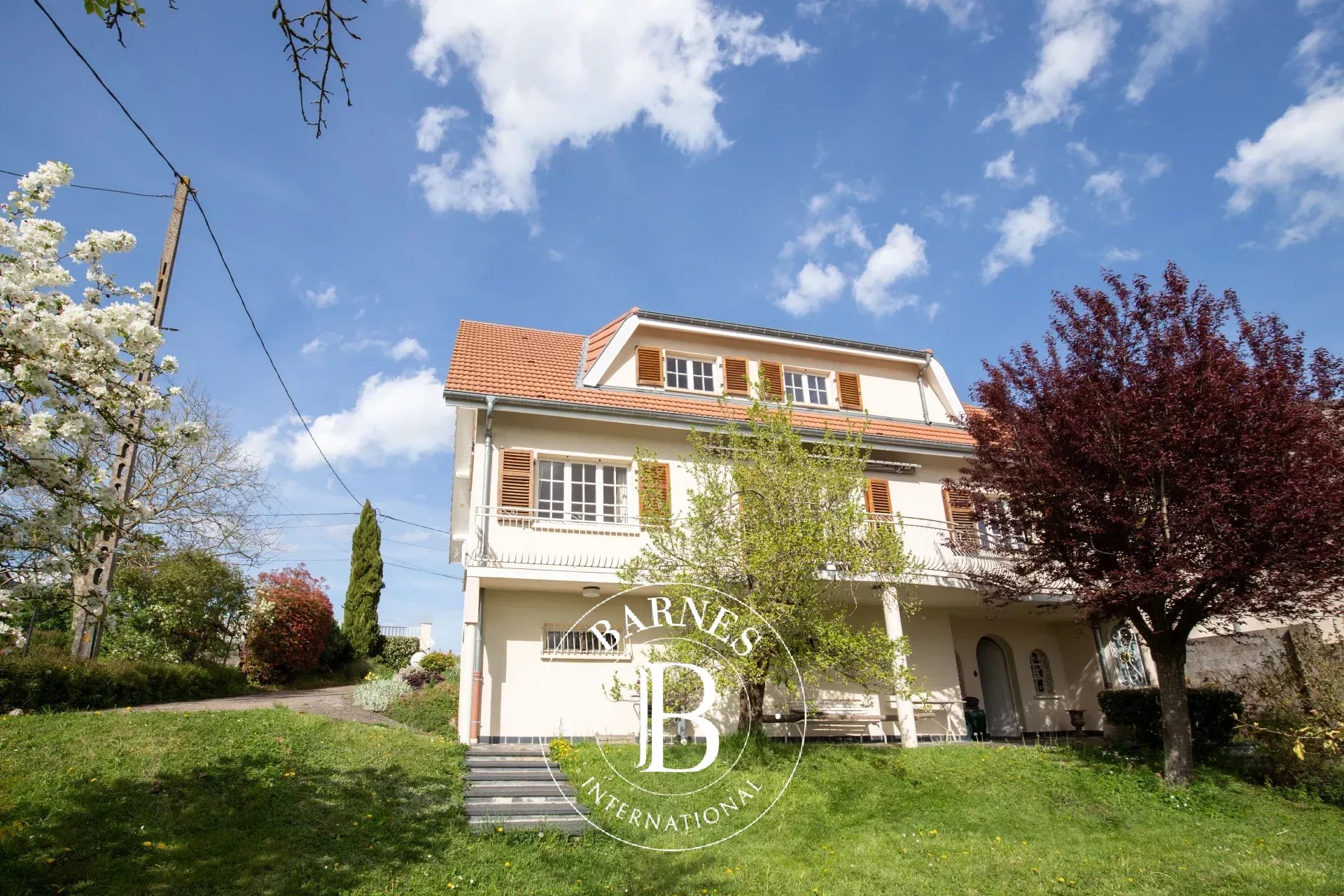 Maison Art-sur-Meurthe  -  ref 86929927 (picture 3)