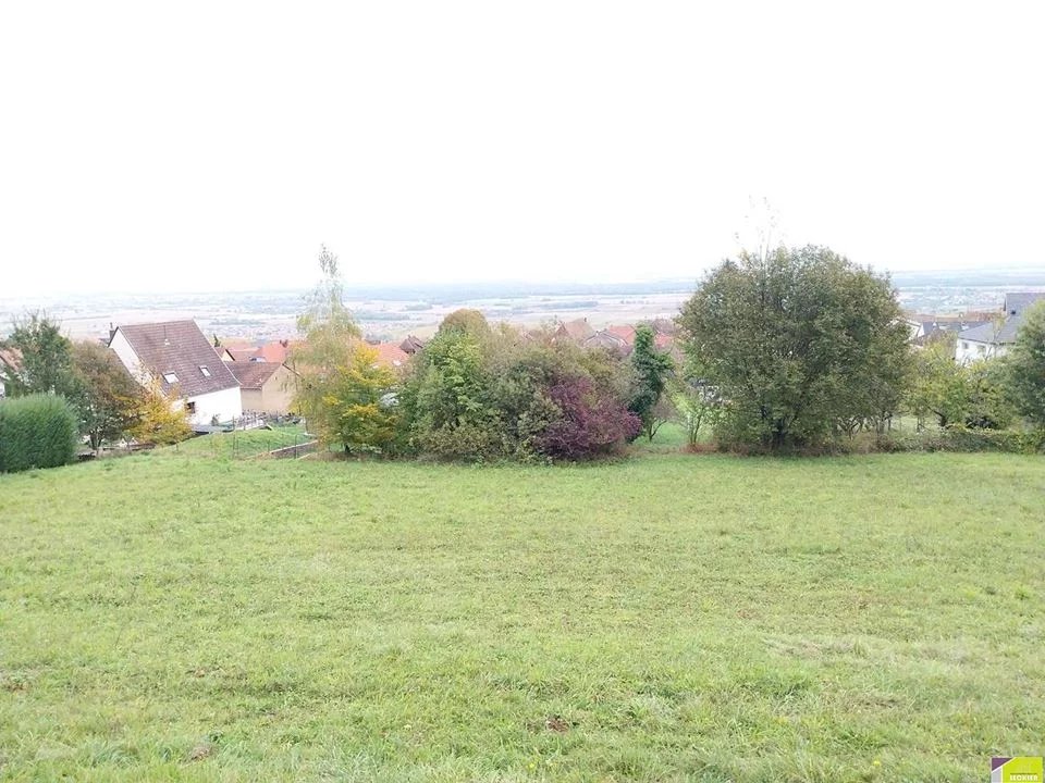 Vente Terrain Husseren-les-Châteaux