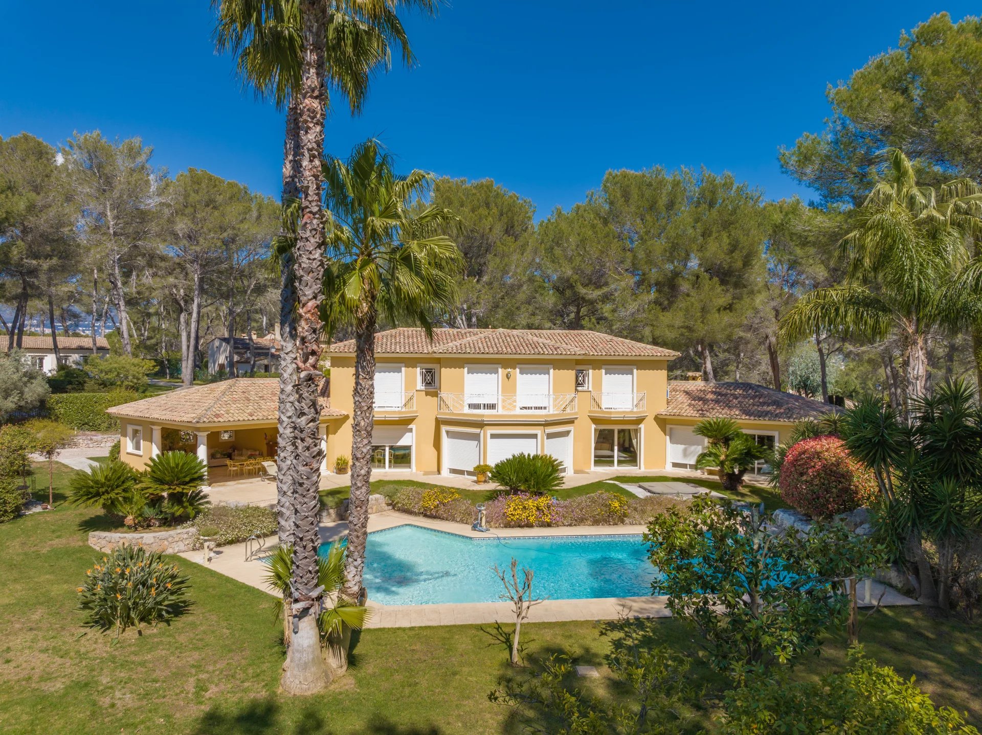 Agence immobilière de David Luxury Properties