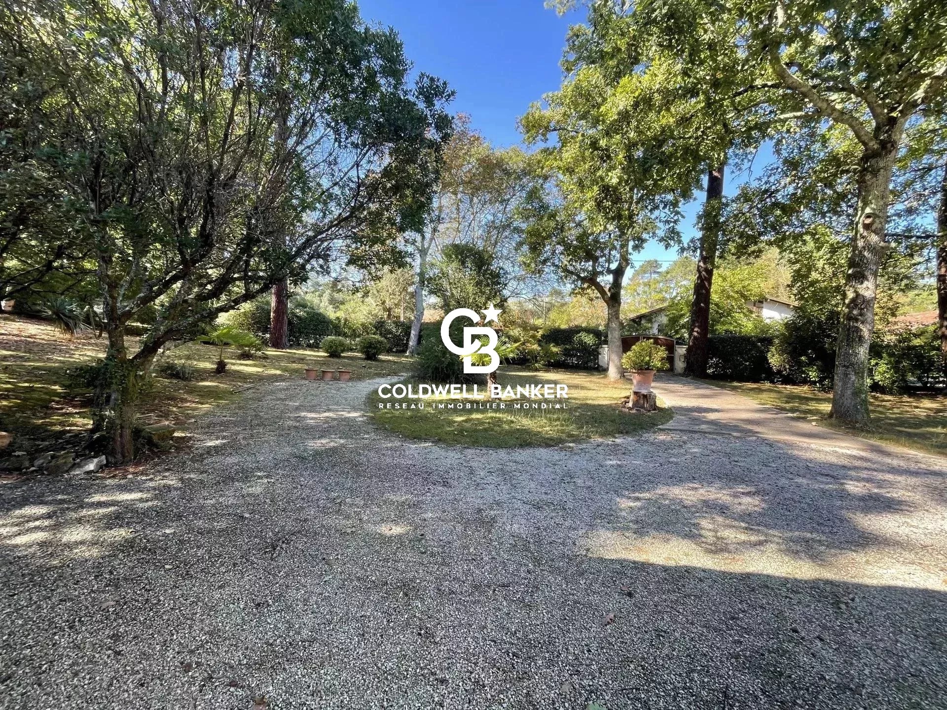 Agence immobilière de Silver Coast Int. Realty