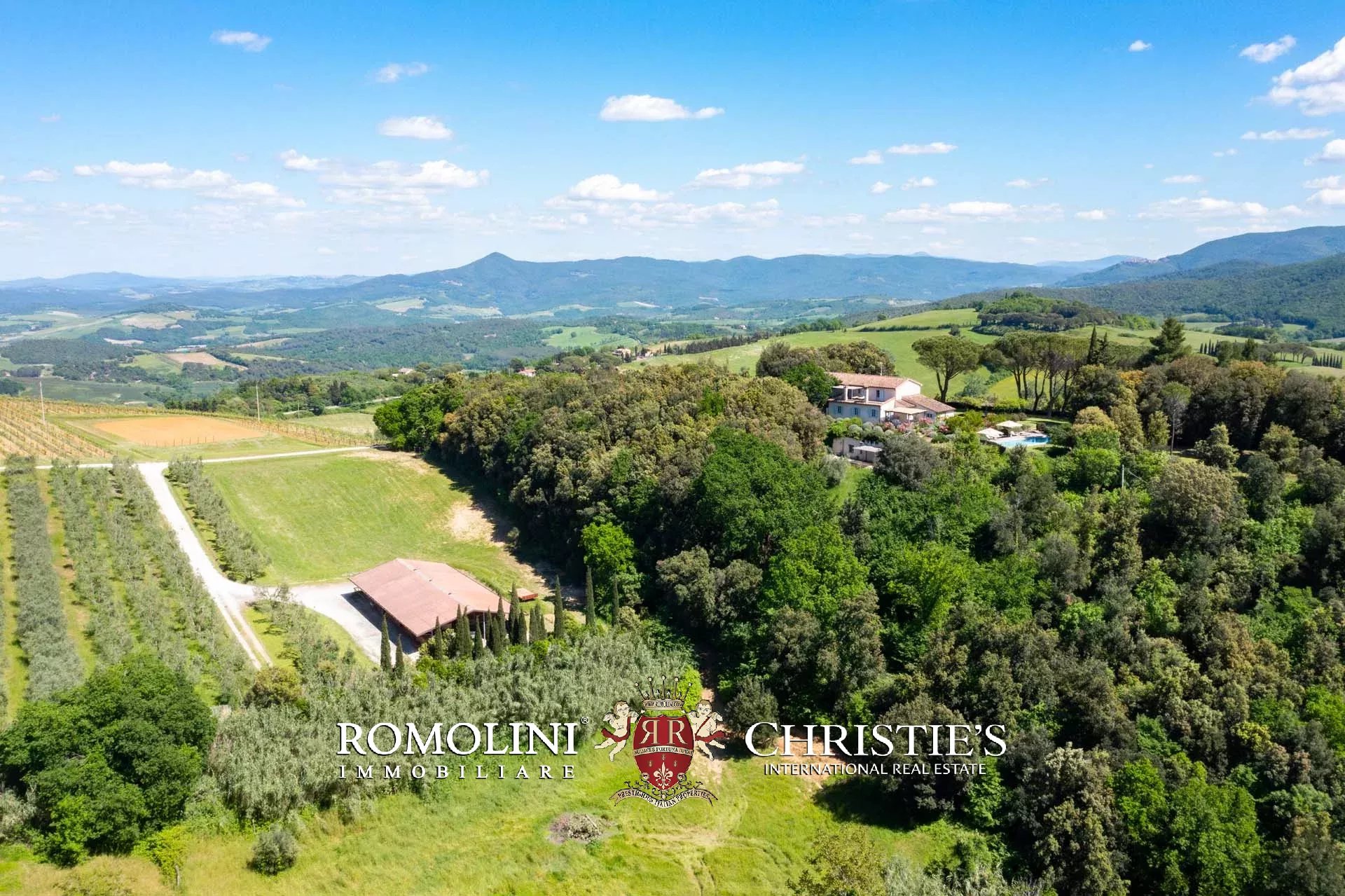 EQUESTRIAN SEA VIEW WINE ESTATE WITH VINEYARDS FOR SALE CLOSE TO BOLGHERI, TUSCANY