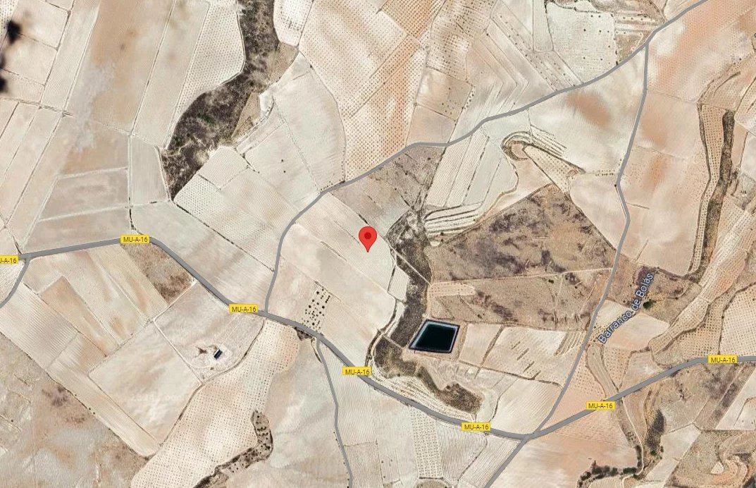 Vente Terrain Jumilla