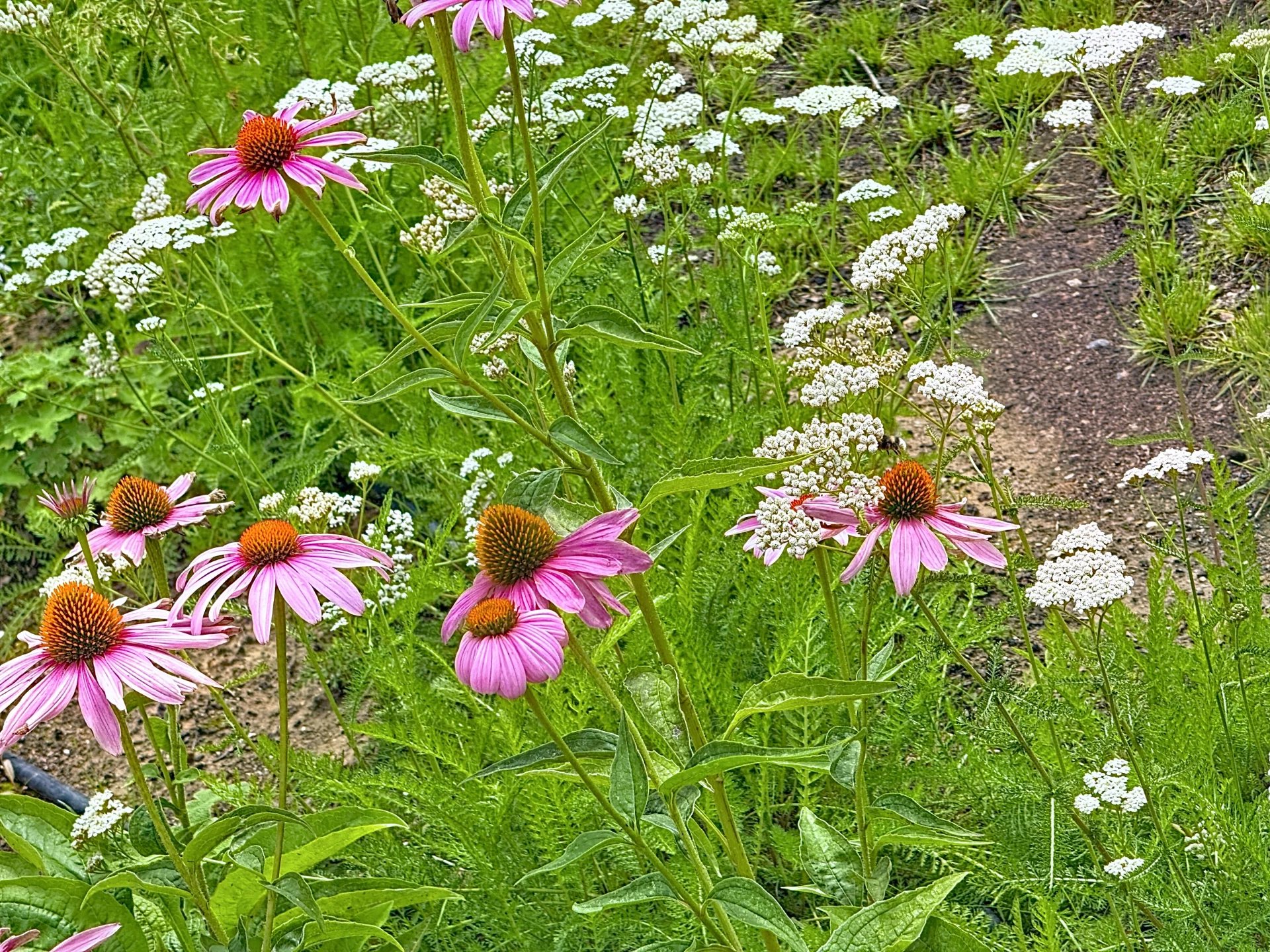 Daire Uccle - picture 19