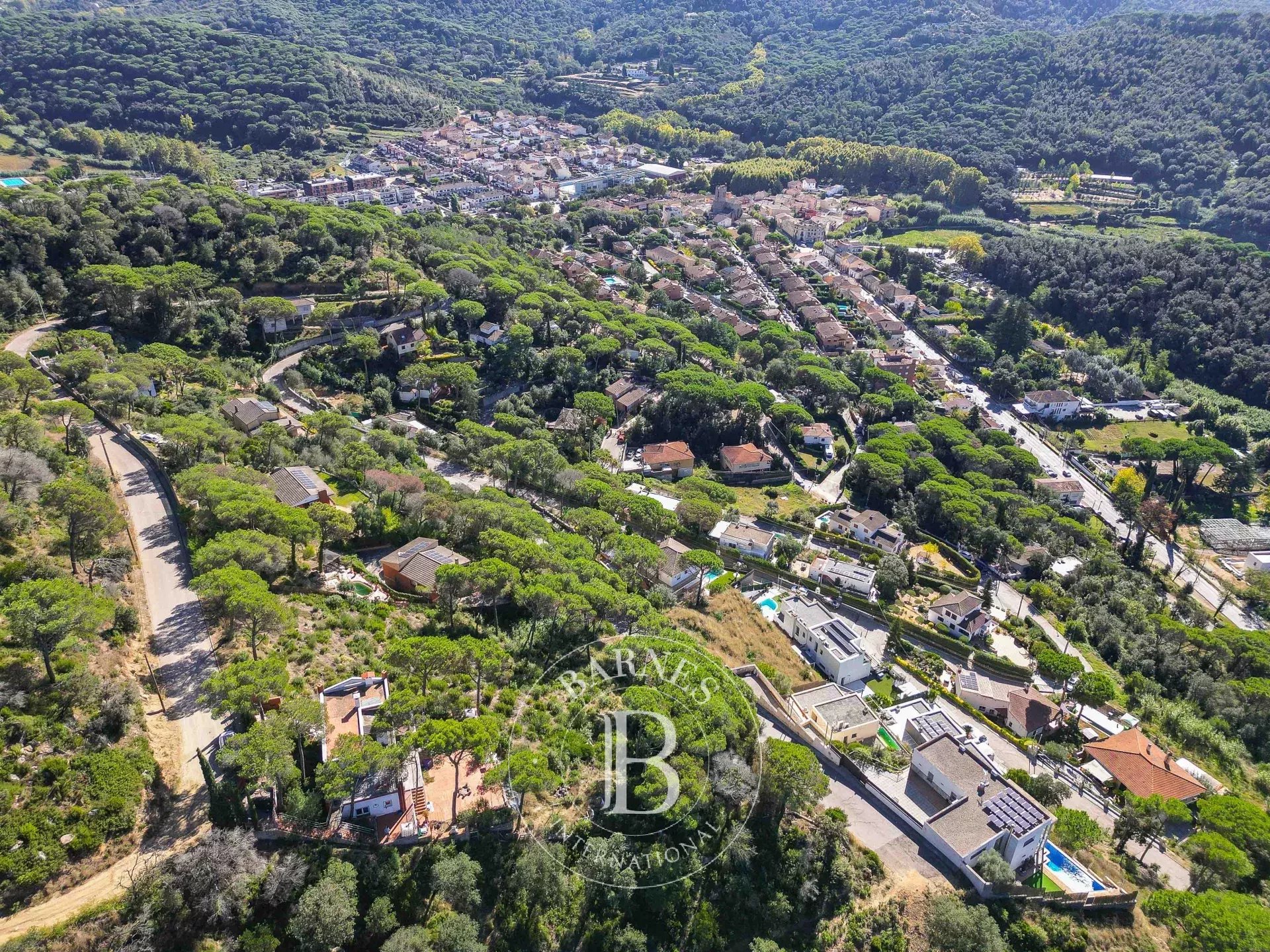 Arazi Dosríus - picture 28