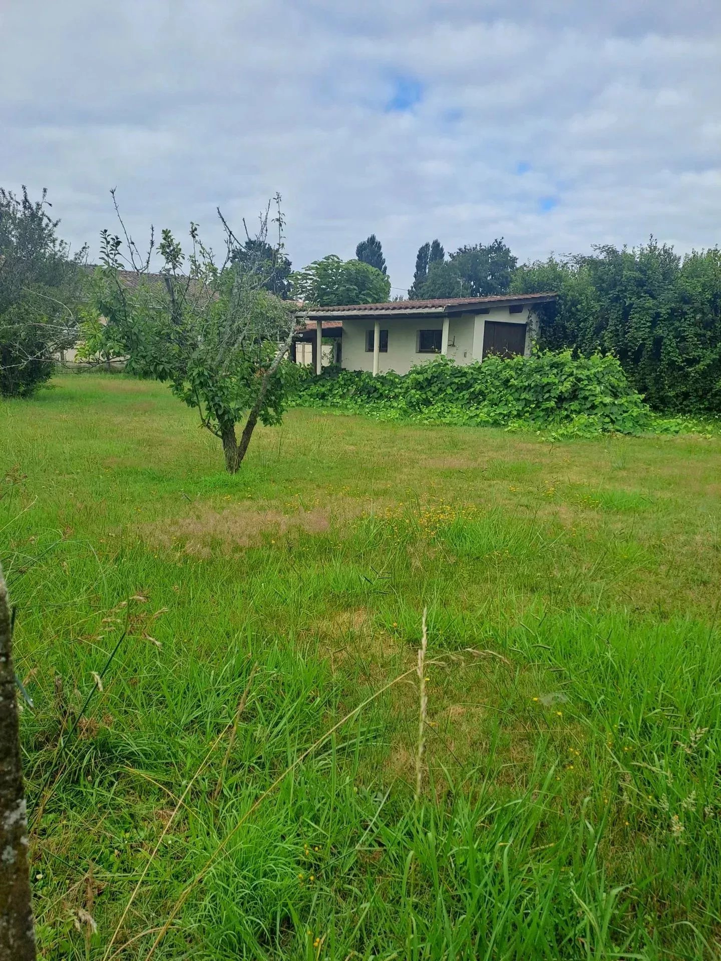 Agence immobilière de Deligey Immo Conseil