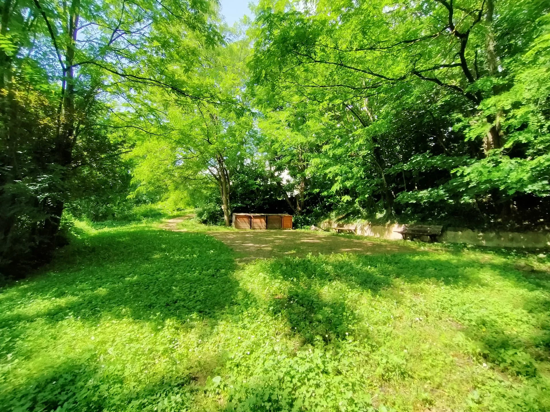 482322 Location Albigny-sur-Saône