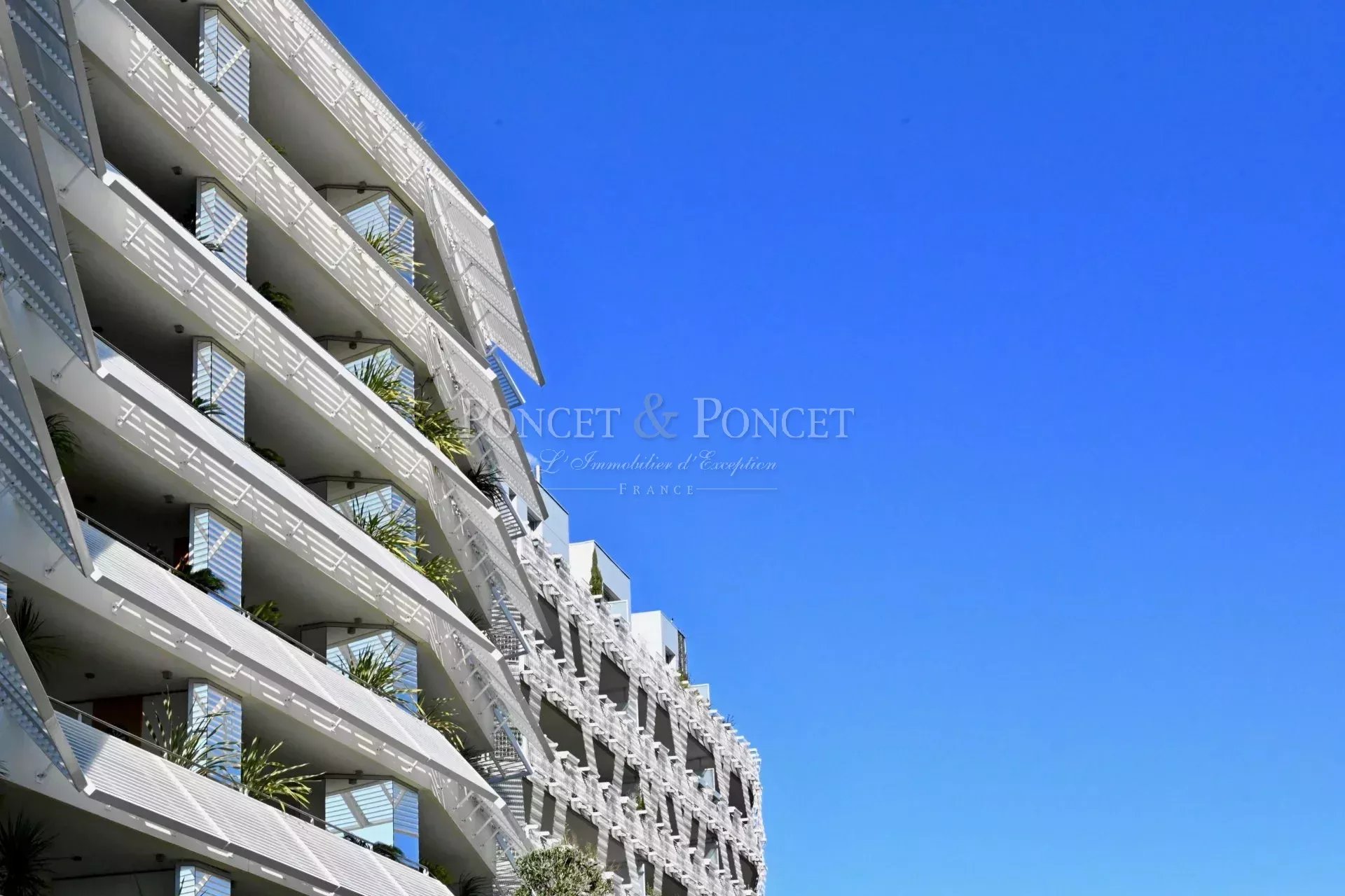 Montpellier