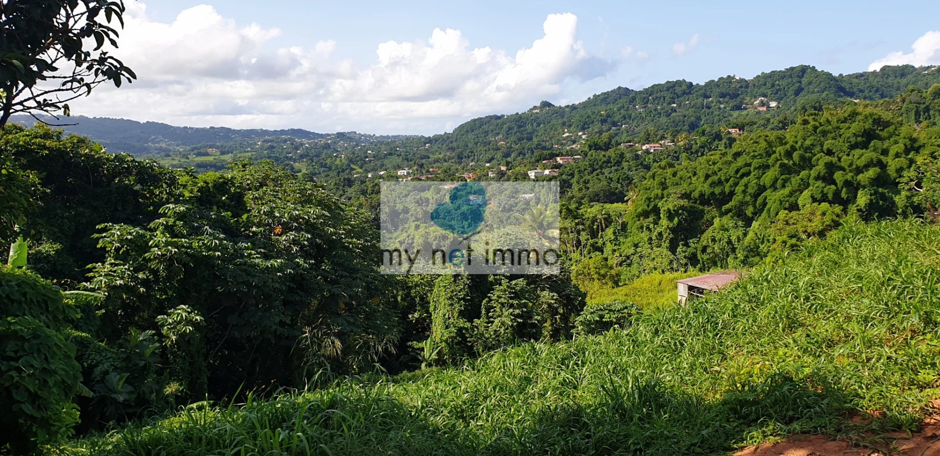 Vente Terrain Le Lamentin