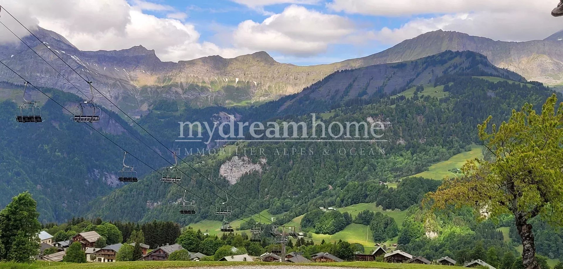 Agence immobilière de MY DREAM HOME