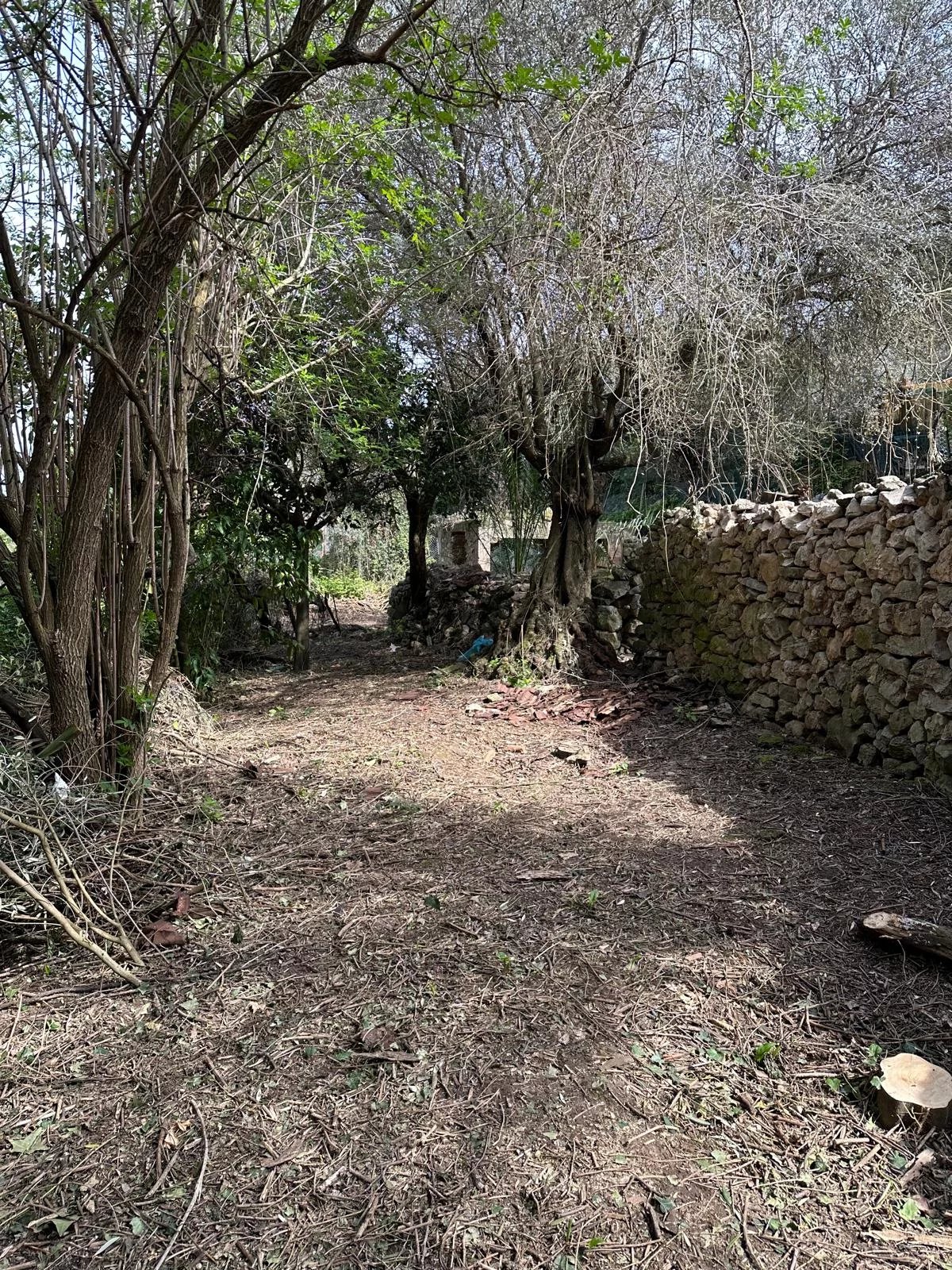 Casaletto à Anacapri - picture 7