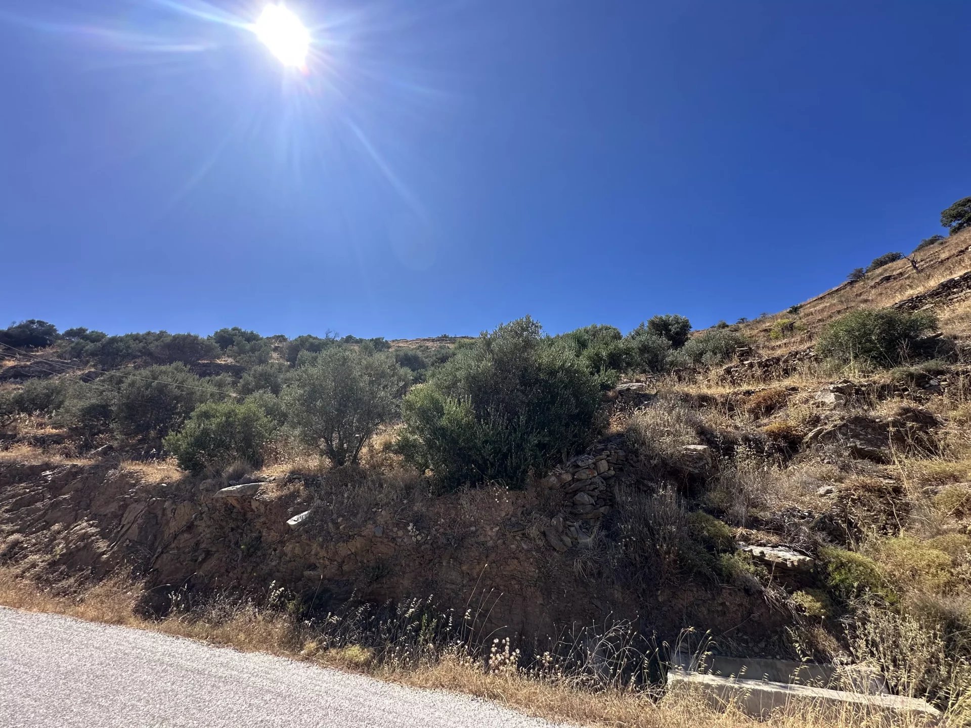 Εικόνα ιδιοκτησίας 11