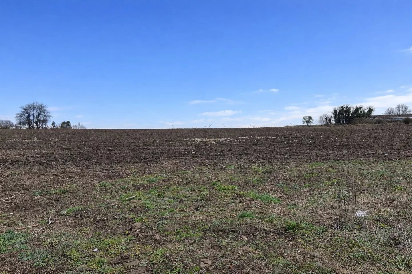 Agence immobilière de Eleven Immobilier