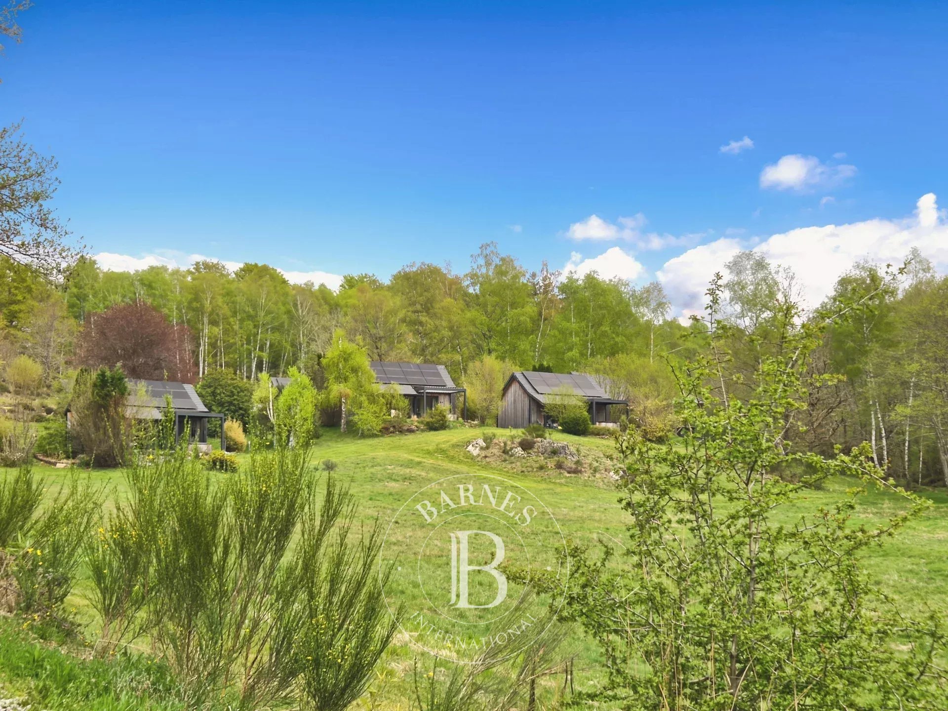 Gîte Champs-sur-Tarentaine-Marchal  -  ref 87014897 (picture 1)