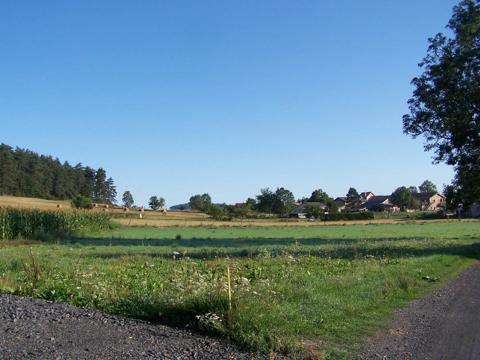 Vente Terrain Yssingeaux