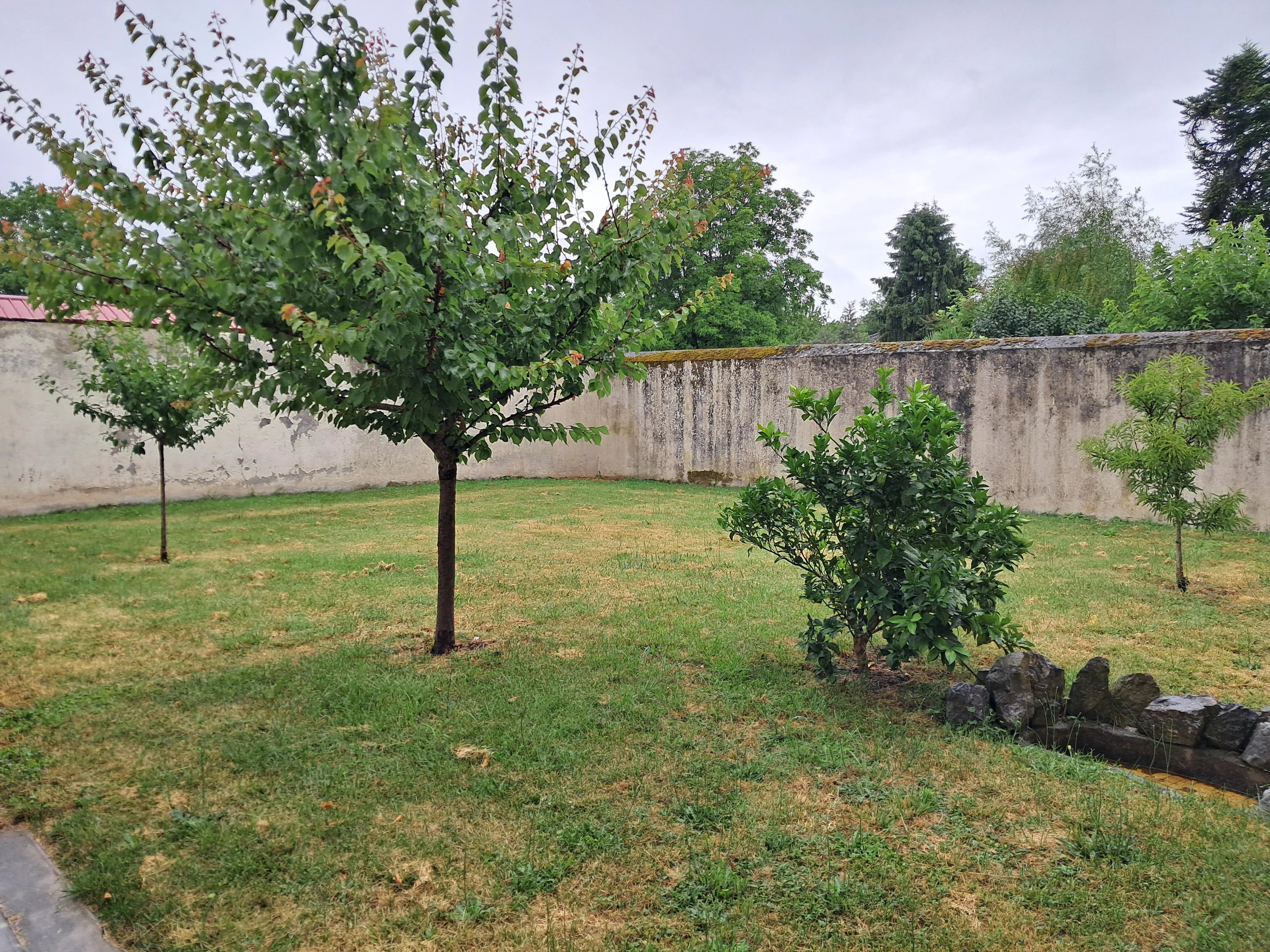 Location Maison Tournay