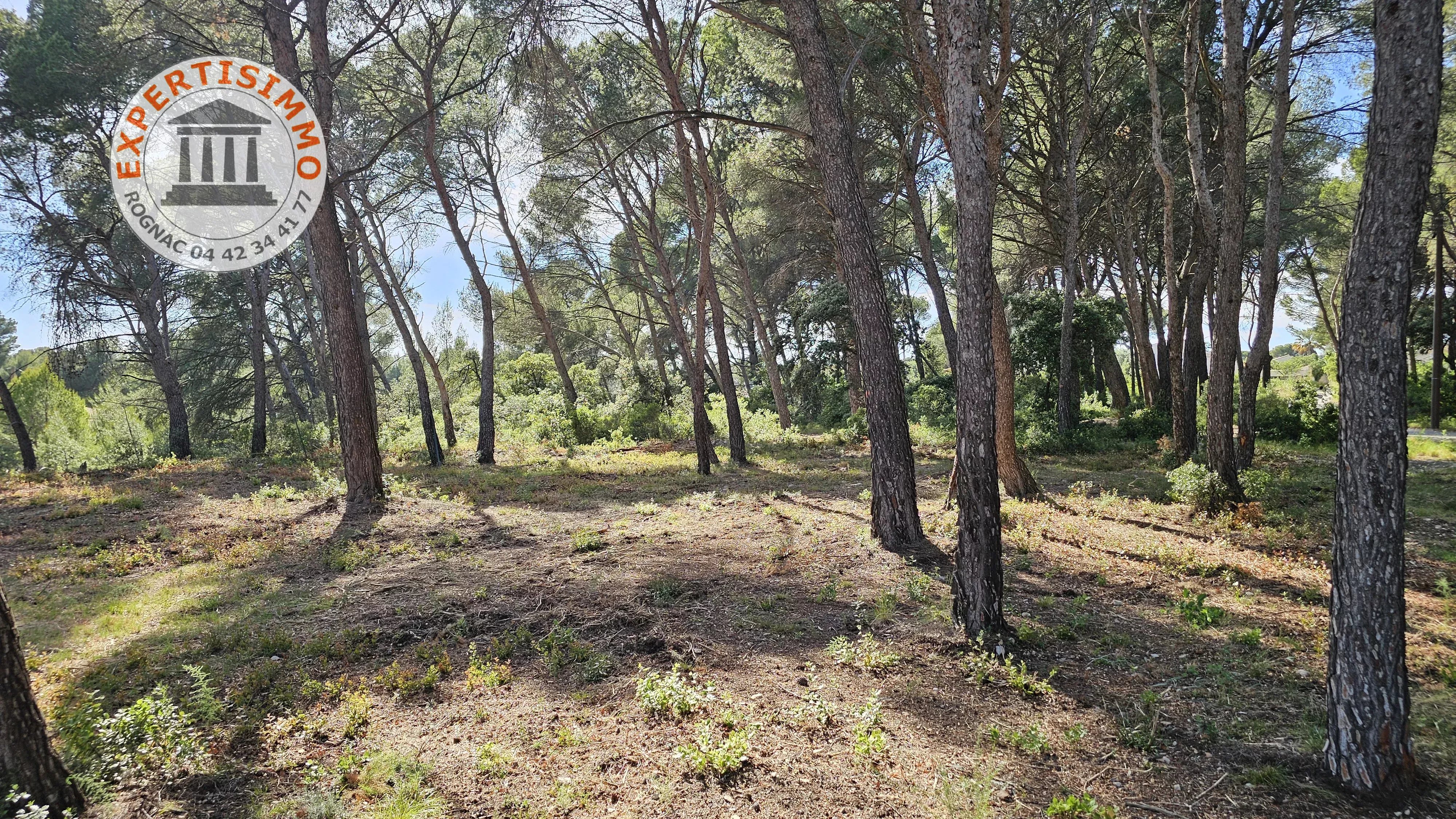 Terrain à Bâtir plat