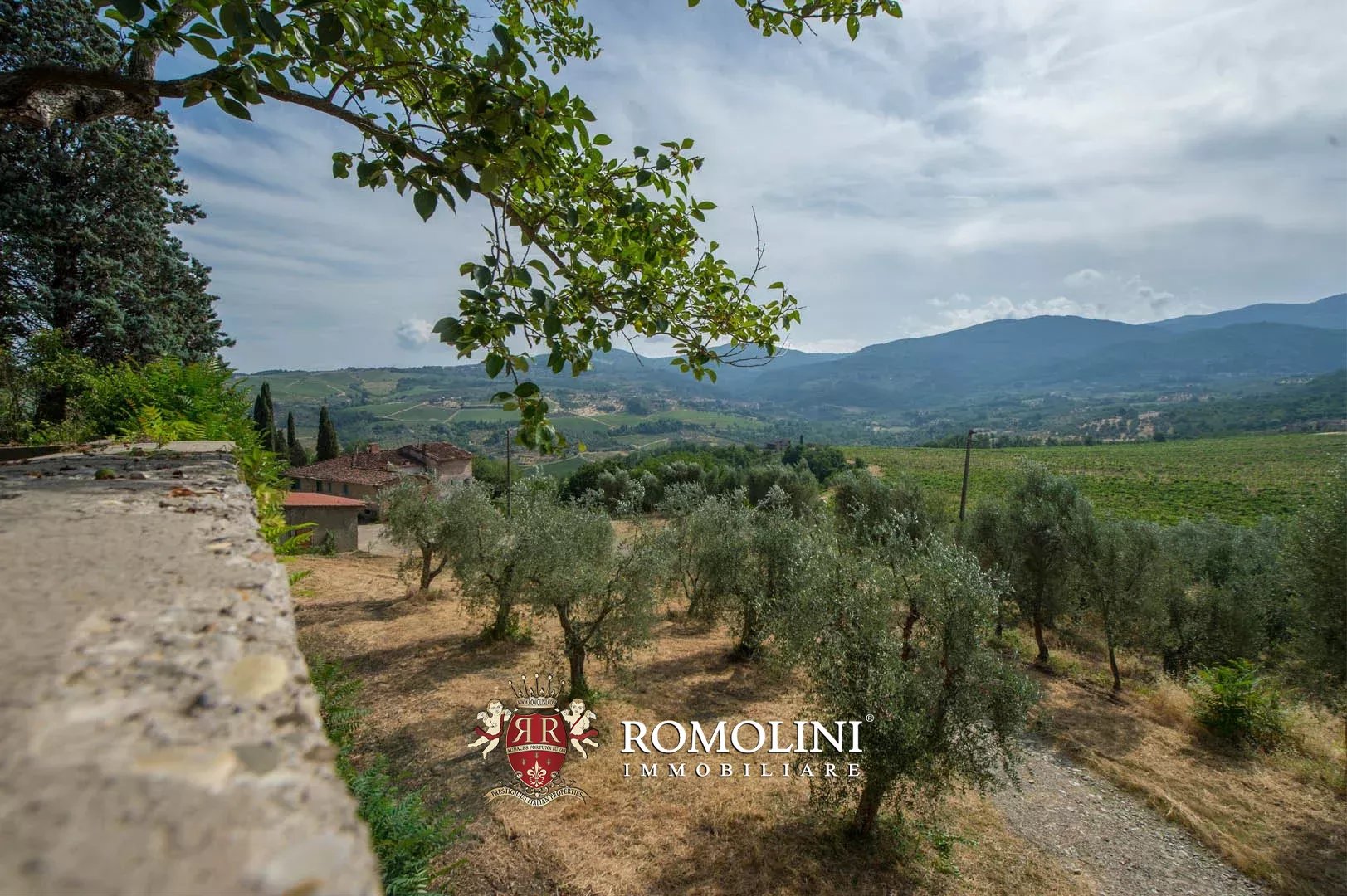 50 Bedroom Vineyard's Image 19