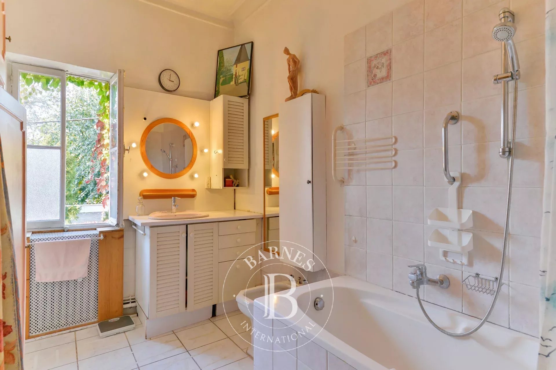 Ev Tassin-la-Demi-Lune - picture 10