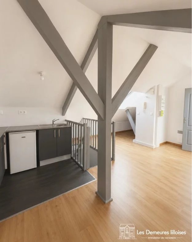 Vente Immeuble Lille