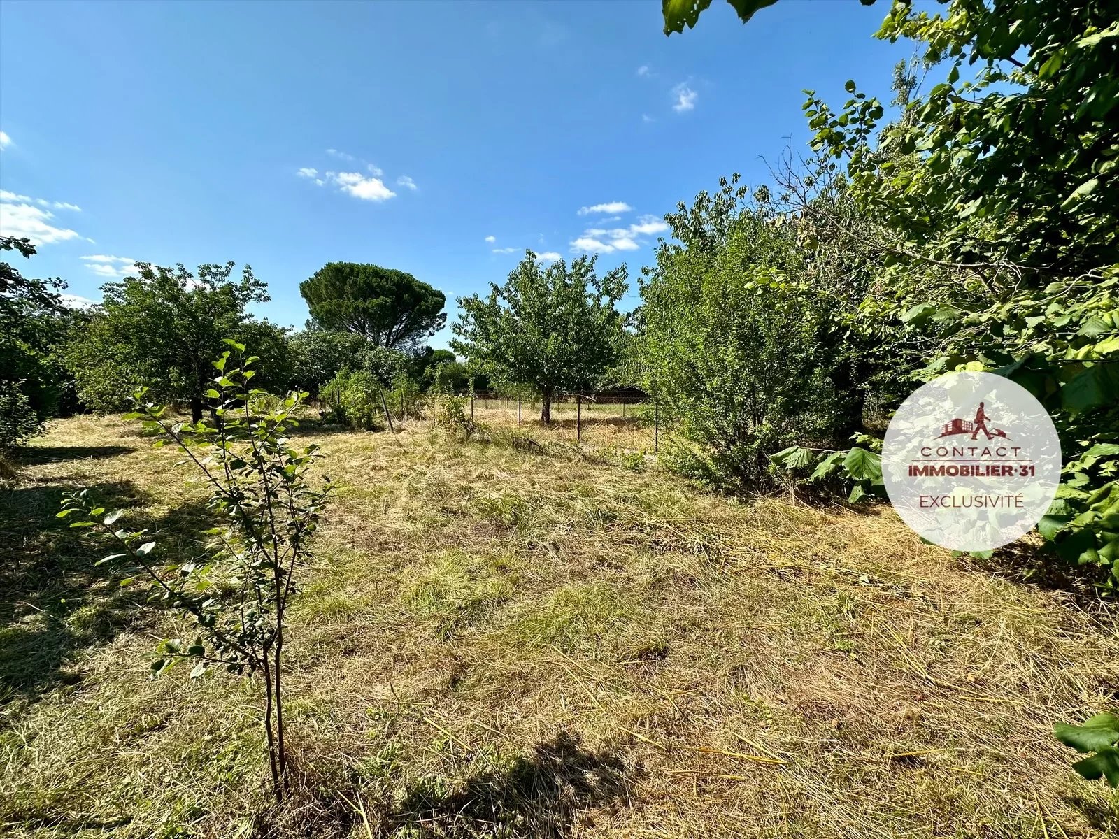 Agence immobilière de Contact Immobilier 31