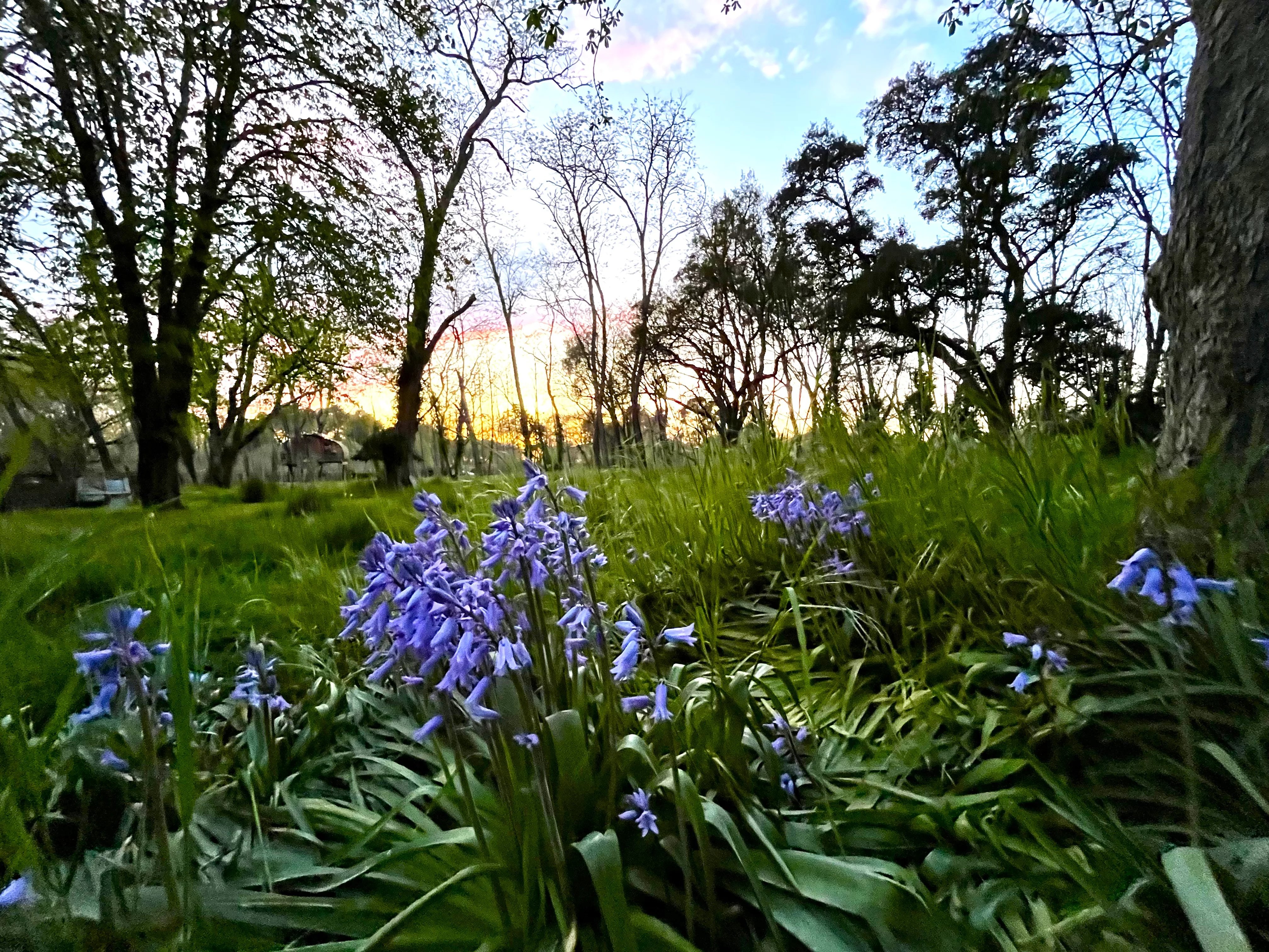 Dorpswoning te koop Losse, Landes