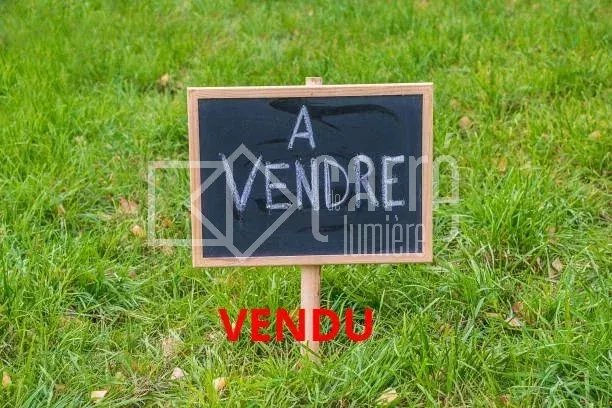 blackboard with text in french "for sale" on a grass