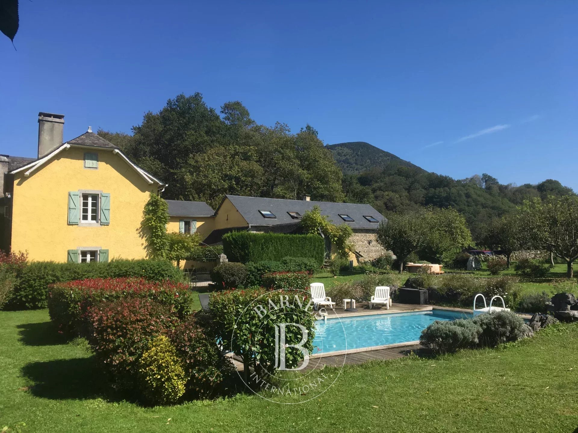 Maison Oloron-Sainte-Marie  -  ref 84266427 (picture 3)