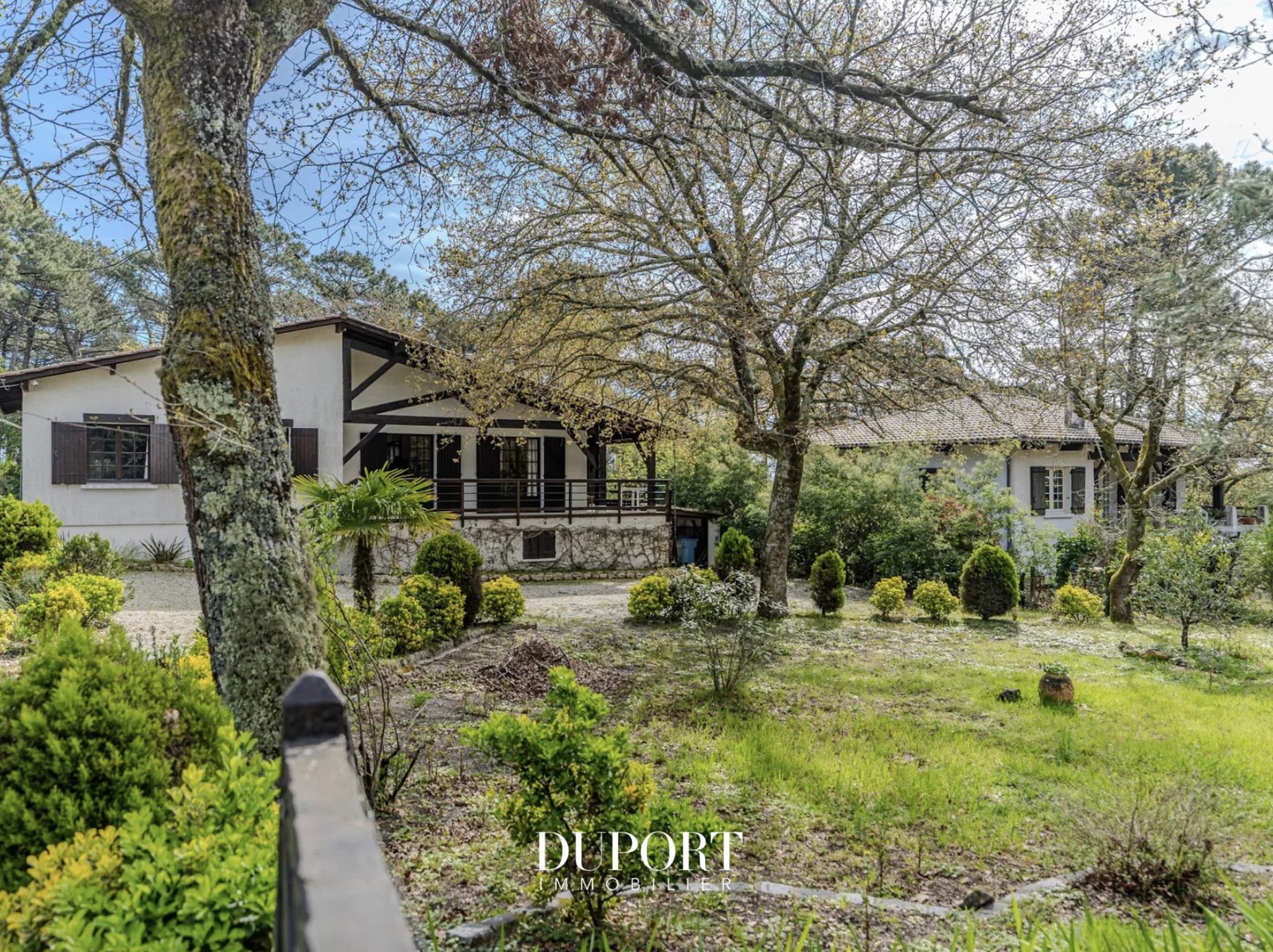 Agence immobilière de Duport Immobilier BORDEAUX