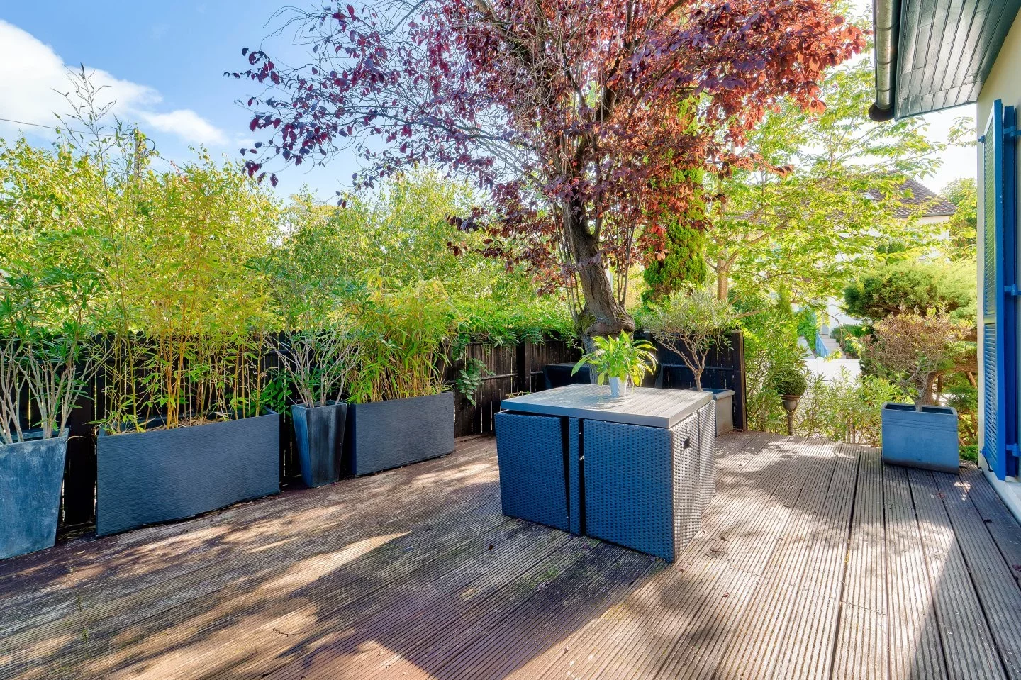 Rueil-Malmaison - RICHELIEU CHATAIGNERAIE