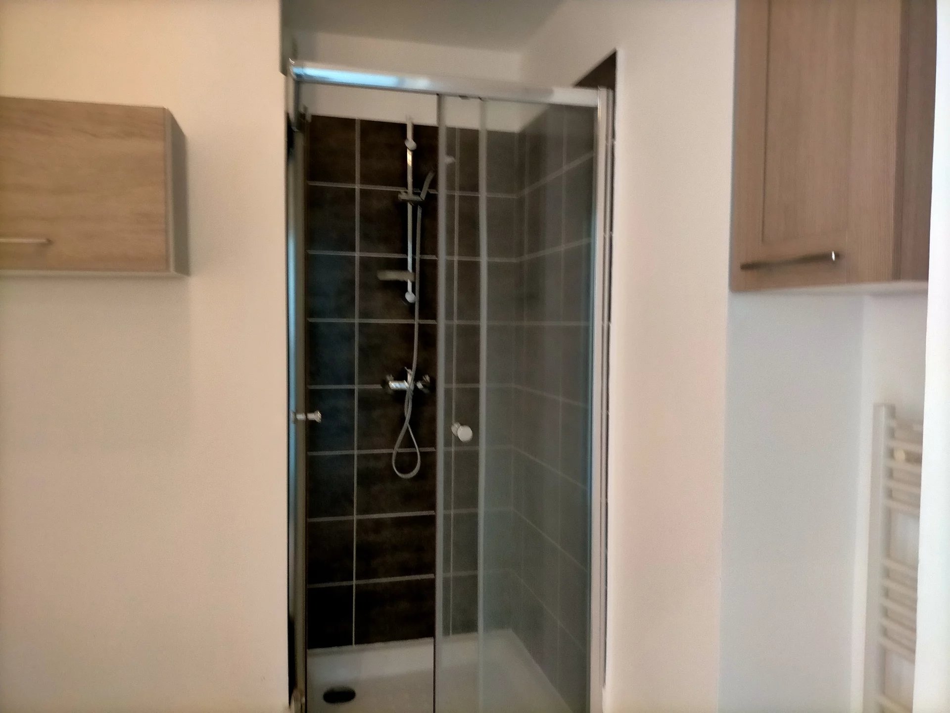 481920 Location Décines-Charpieu