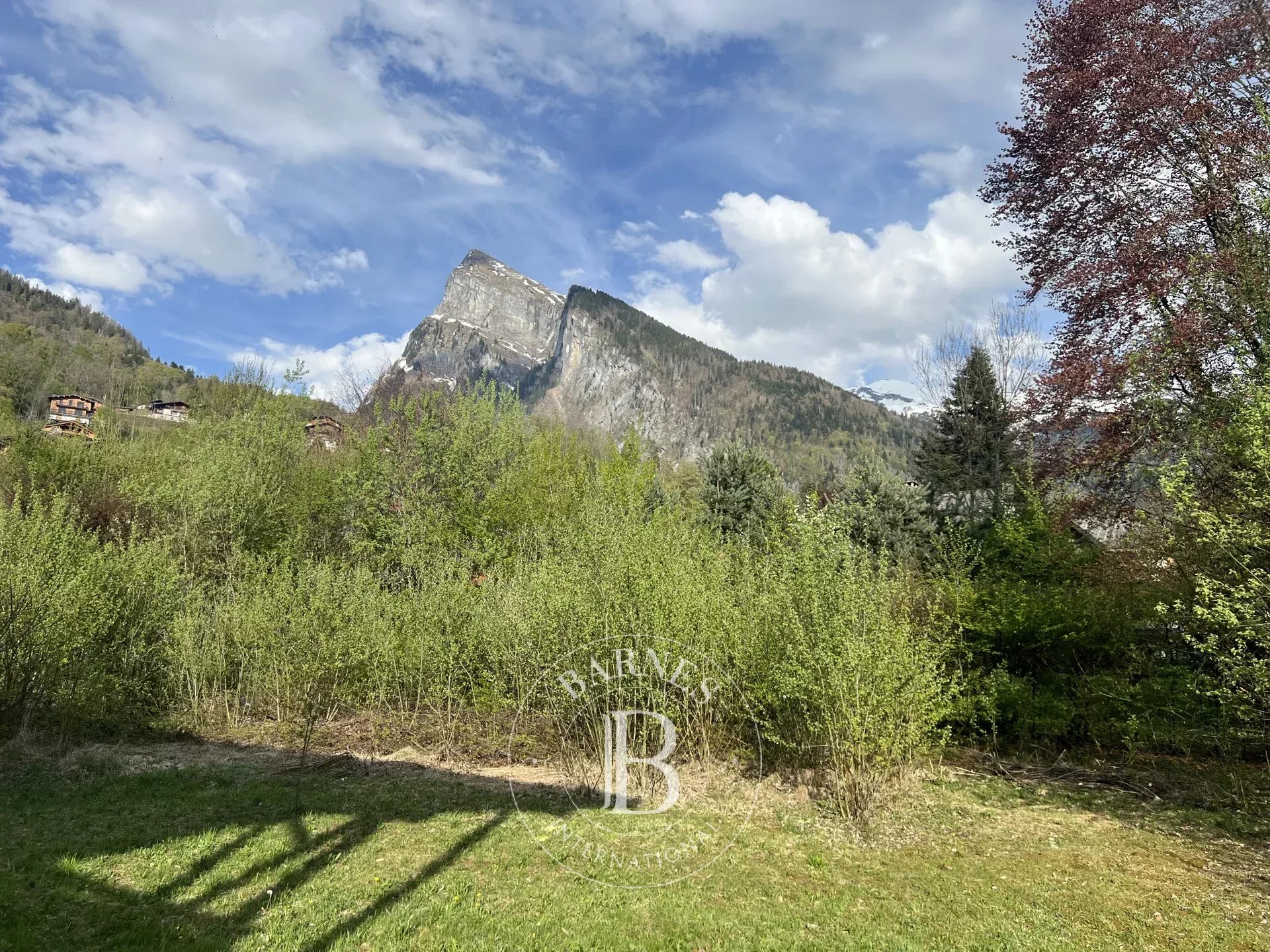 Samoëns  - Terrain  - picture 7