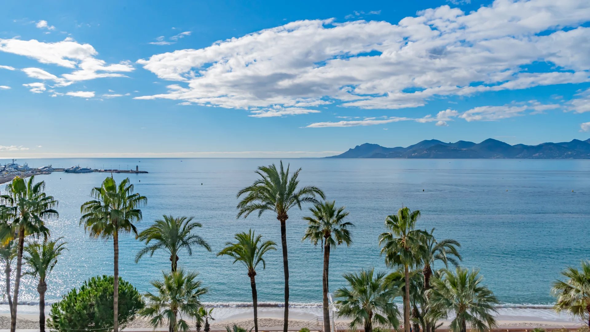 Sale Apartment Cannes Pointe Croisette