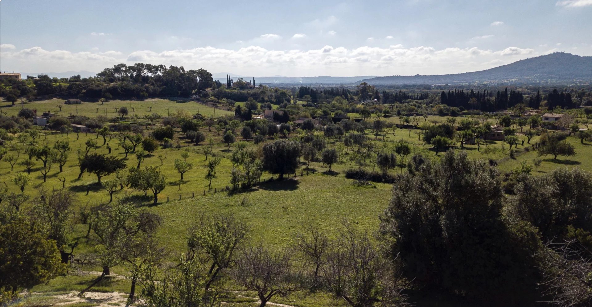 Sale Building land Moscari
