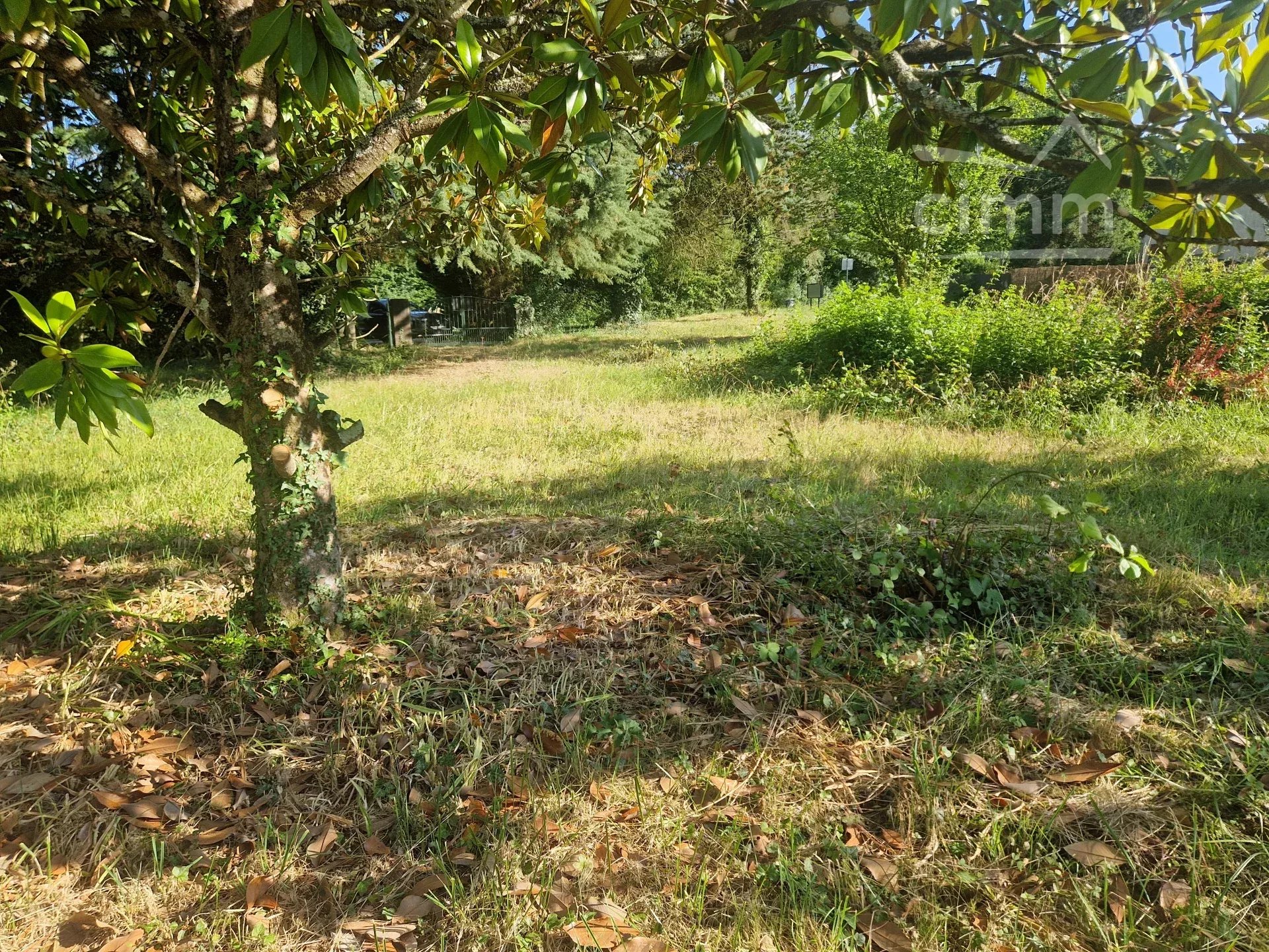 Agence immobilière de Cimm Immobilier BALLAN-MIRE