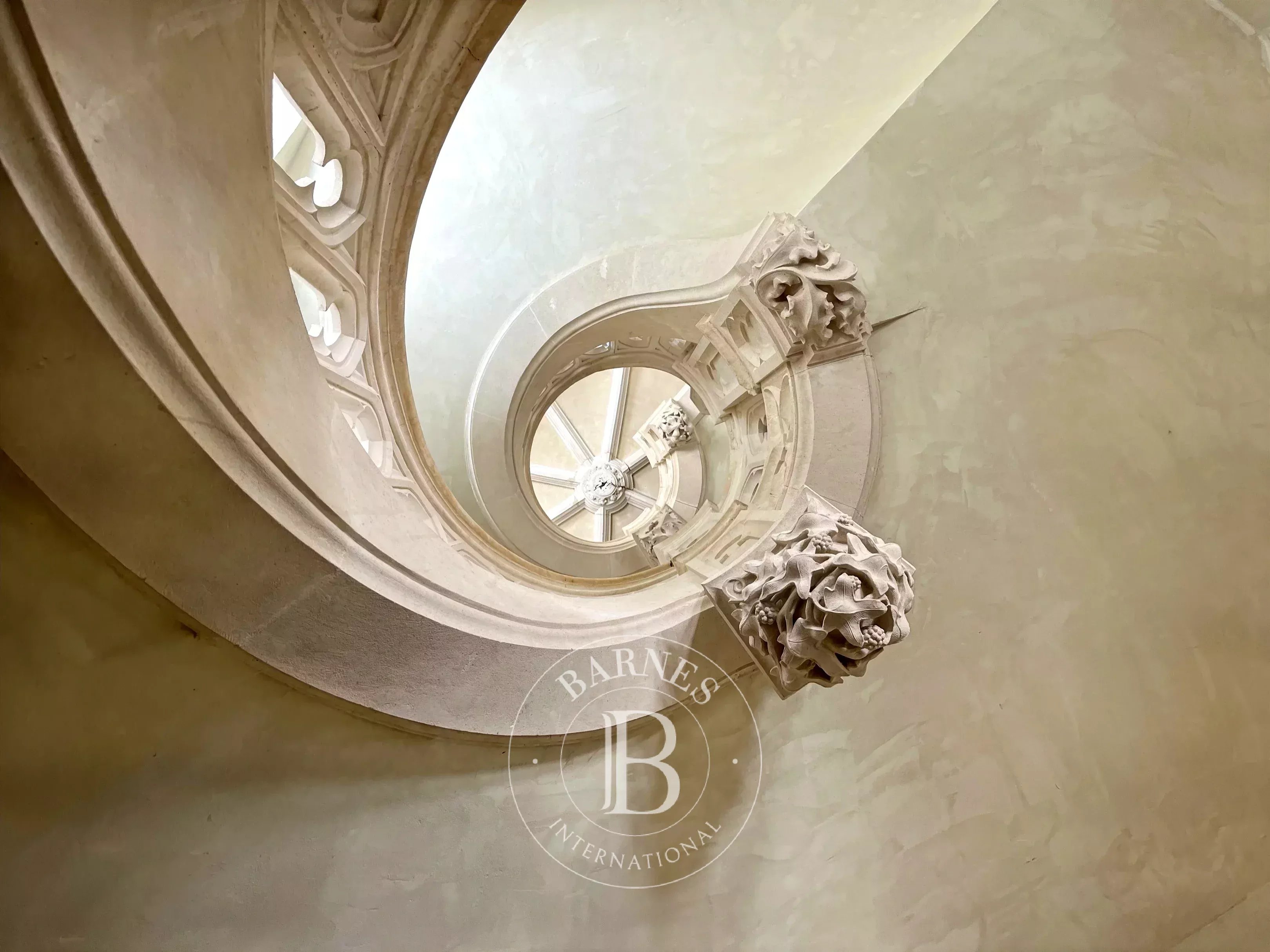 Château Château-du-Loir  -  ref 87117961 (picture 3)