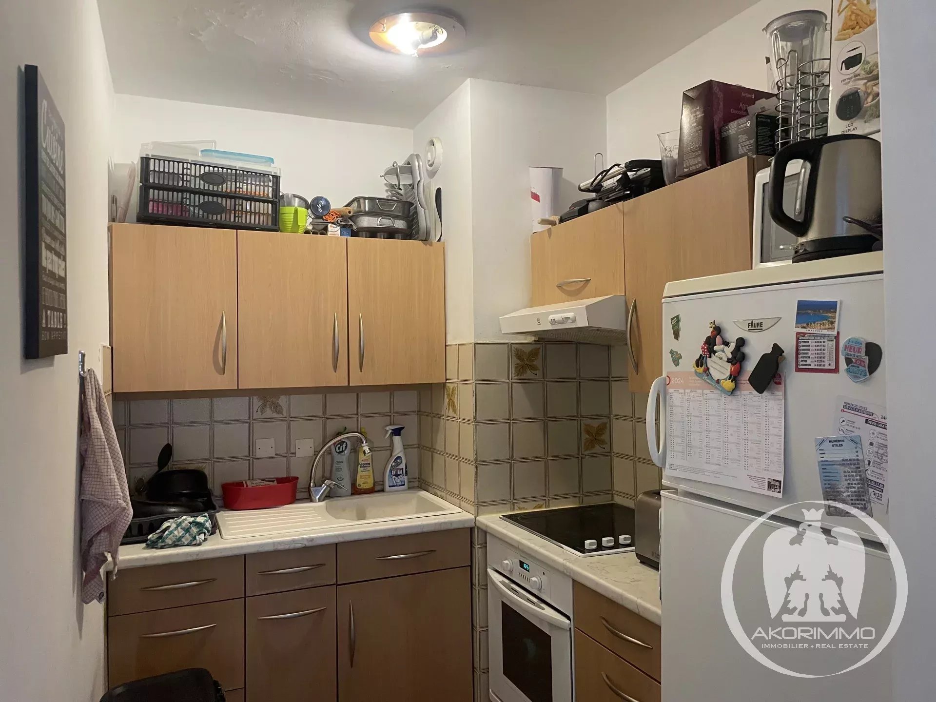 Vendita Appartamento - Mentone (Menton) Borrigo-Haut