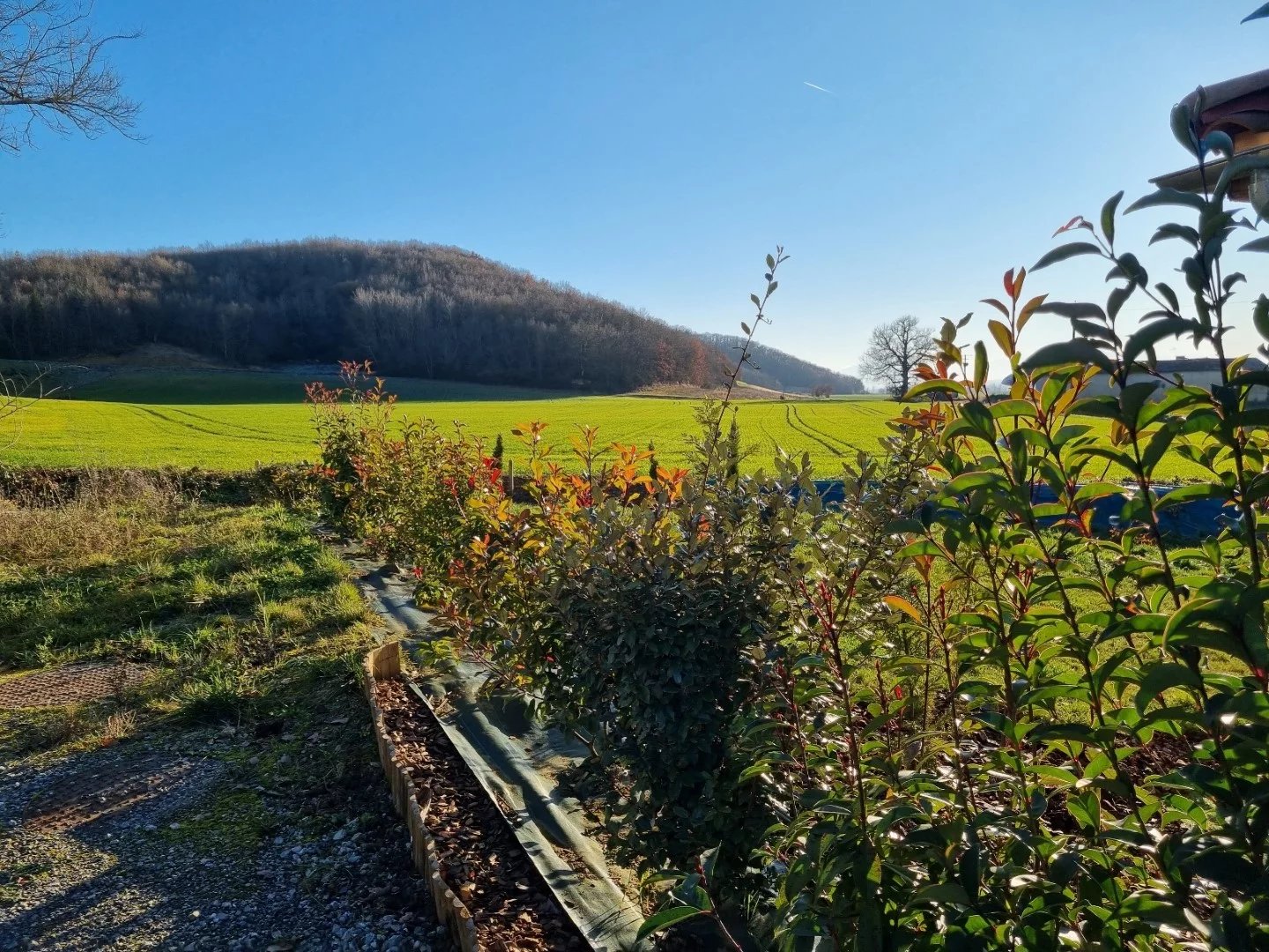 Bungalow for sale Masseube, Gers