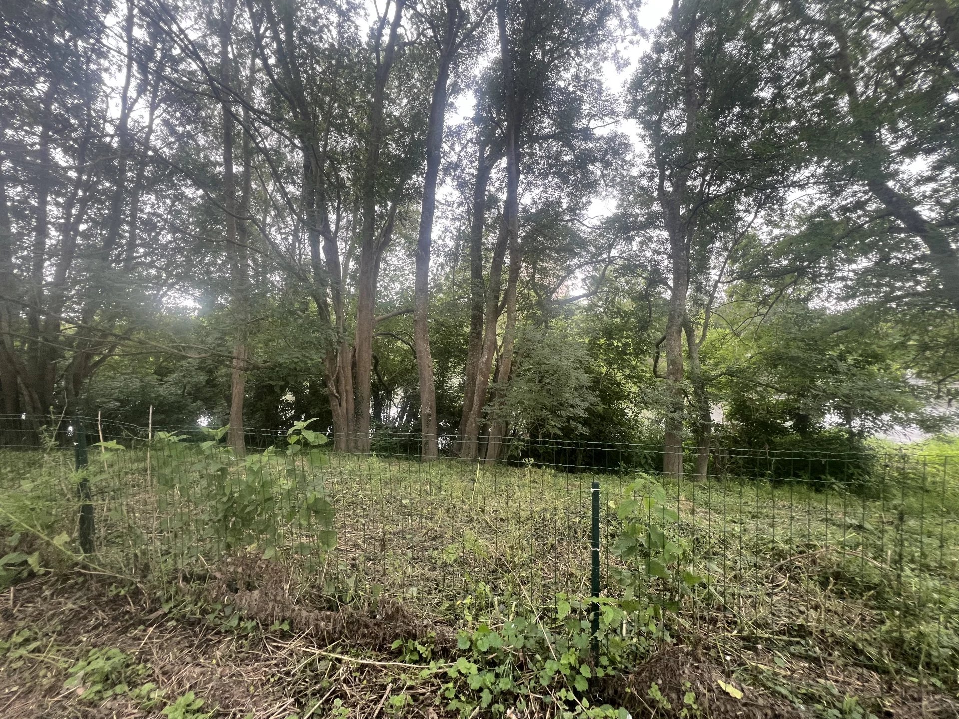 terrain en bord de vienne avec cabanon