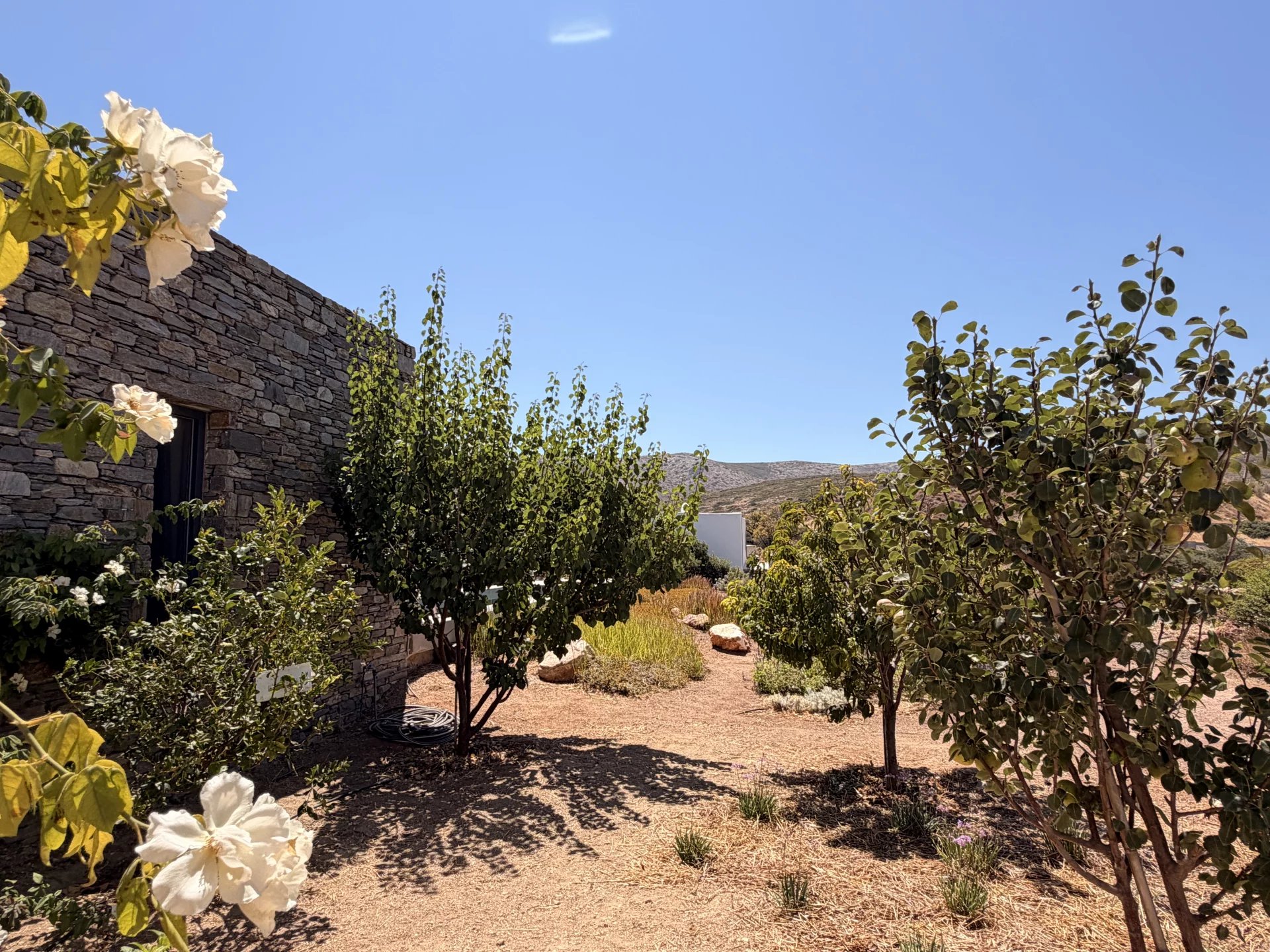 Image de la propriété 32
